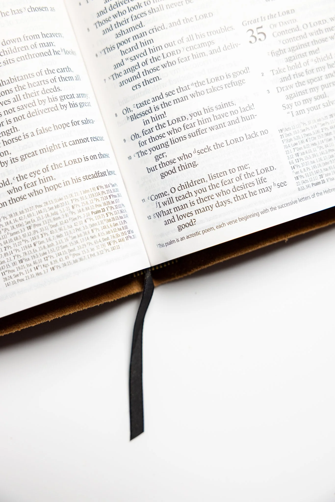 scriptura-esv-large-print-thinline-reference-bible-22.jpg