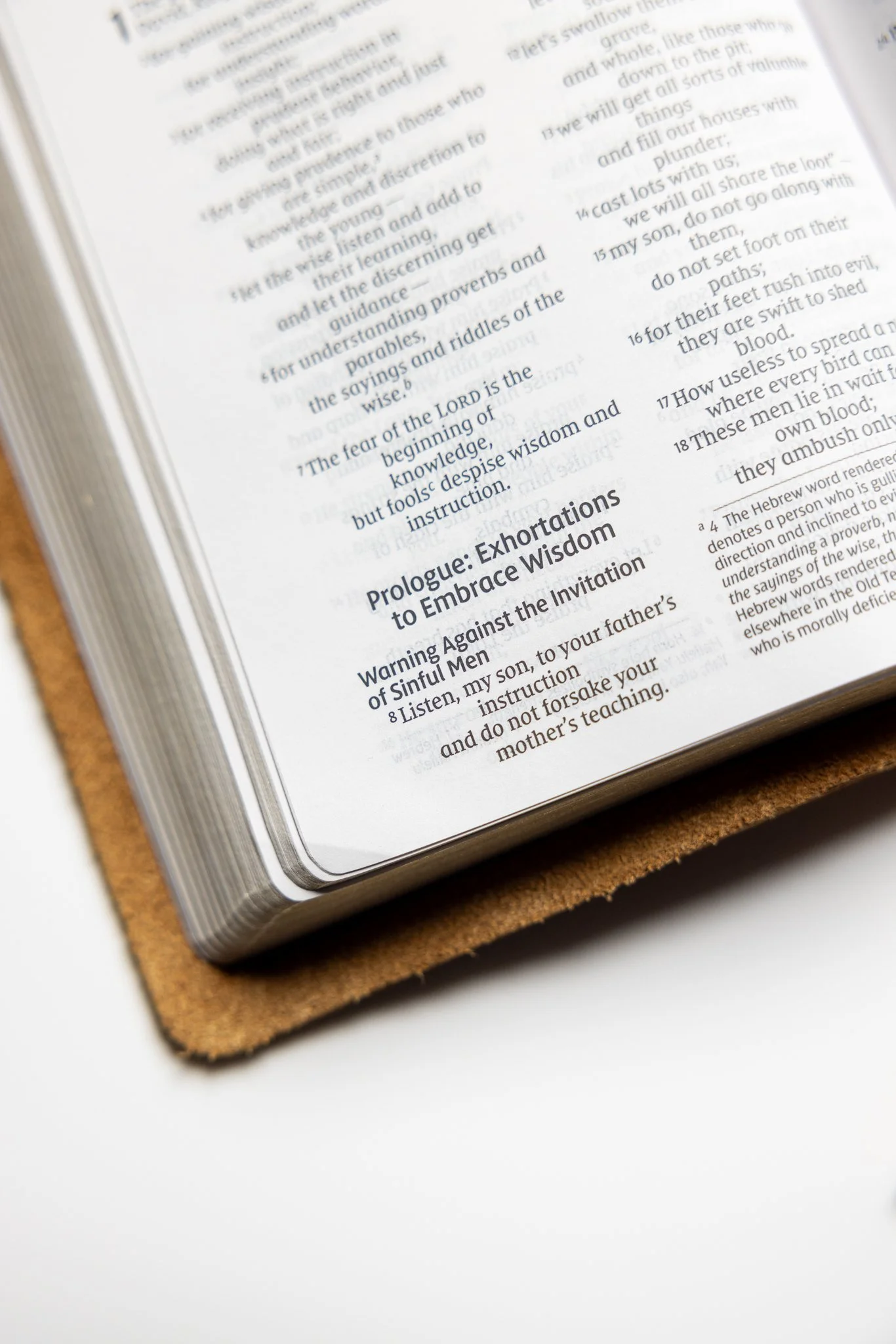 scriptura-niv-large-print-compact-bible-10.jpg