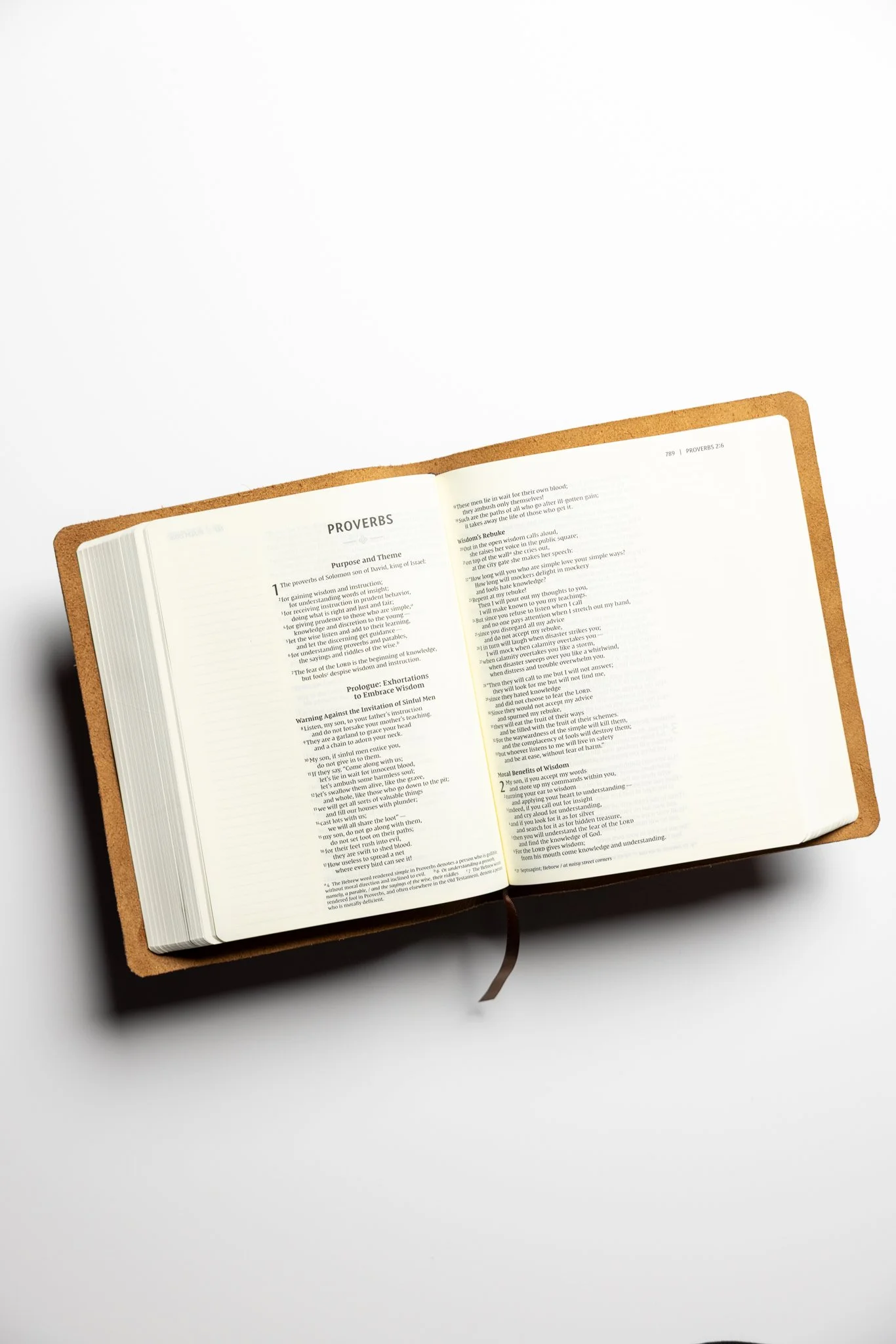 scriptura-niv-journaling-bible-38.jpg