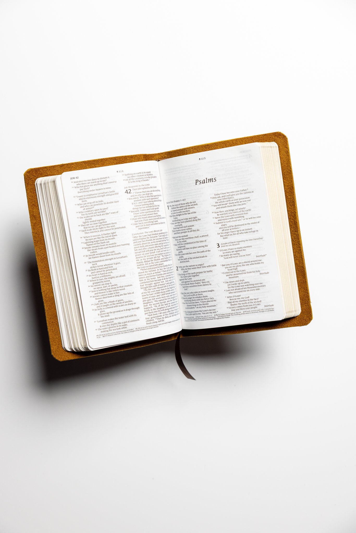 scriptura-nlt-compact-bible-17.jpg