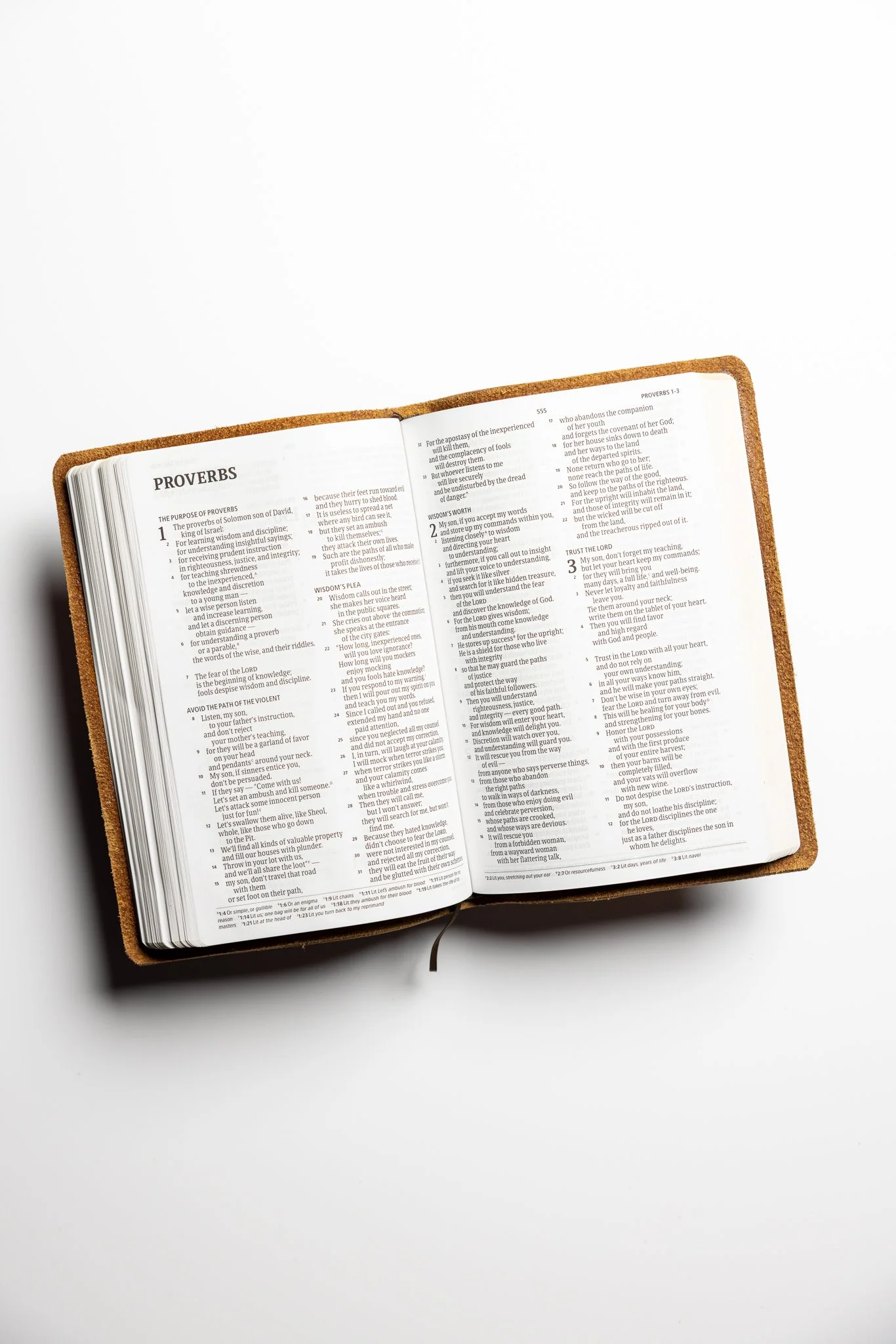 scriptura-csb-large-print-thinline-bible-15.jpg