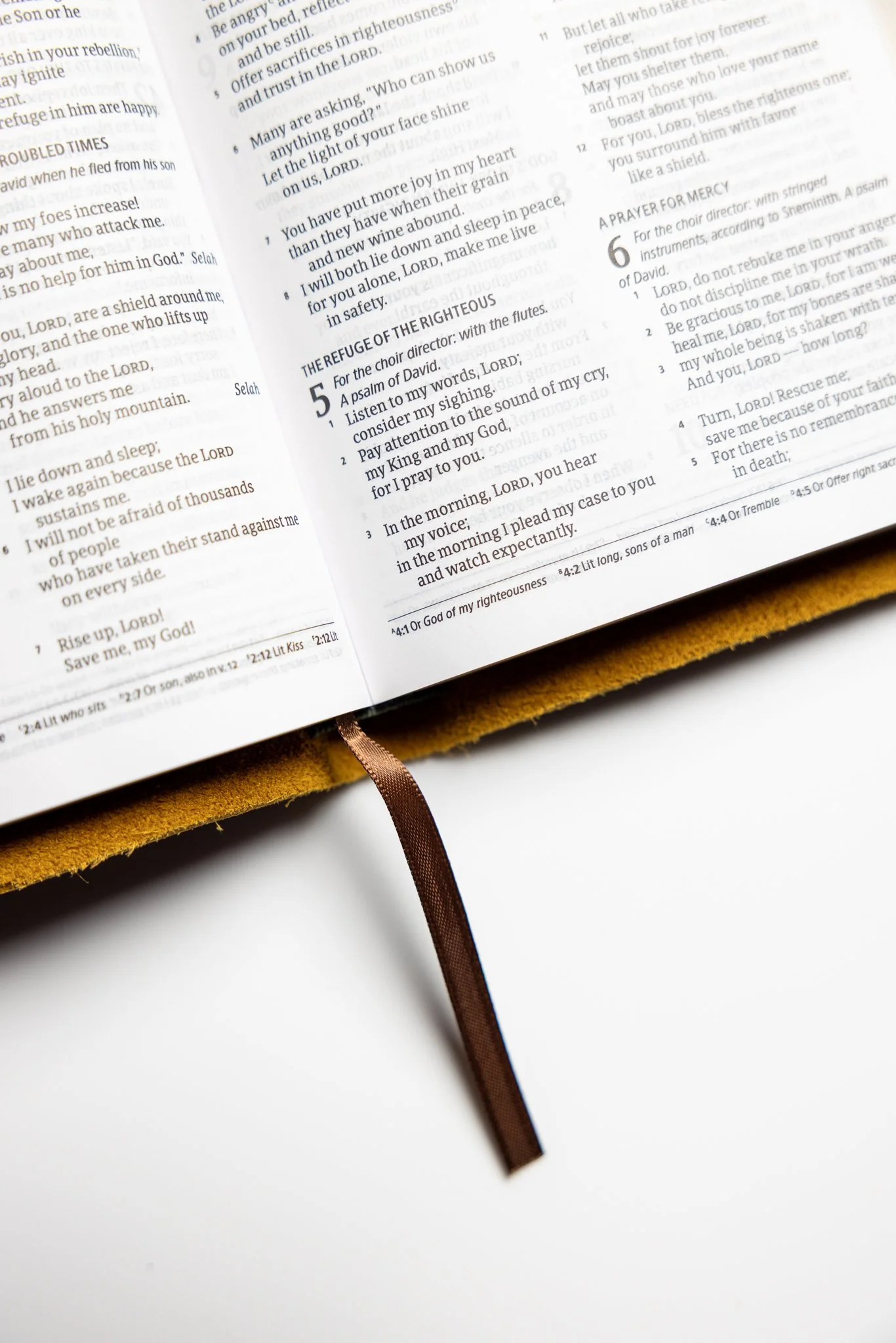 scriptura-csb-personal-bible-22.jpg