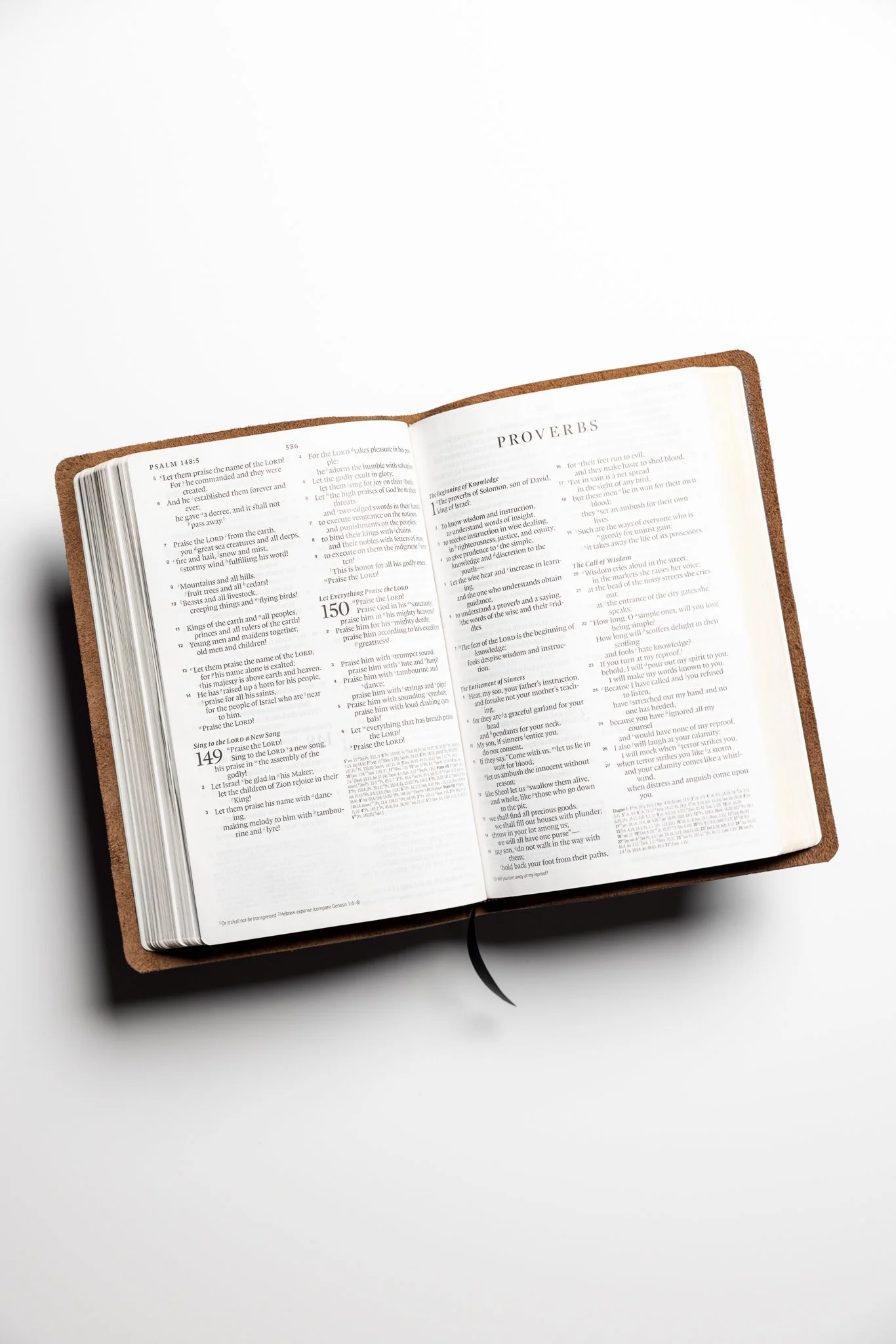 scriptura-esv-large-print-thinline-reference-bible-06.jpg
