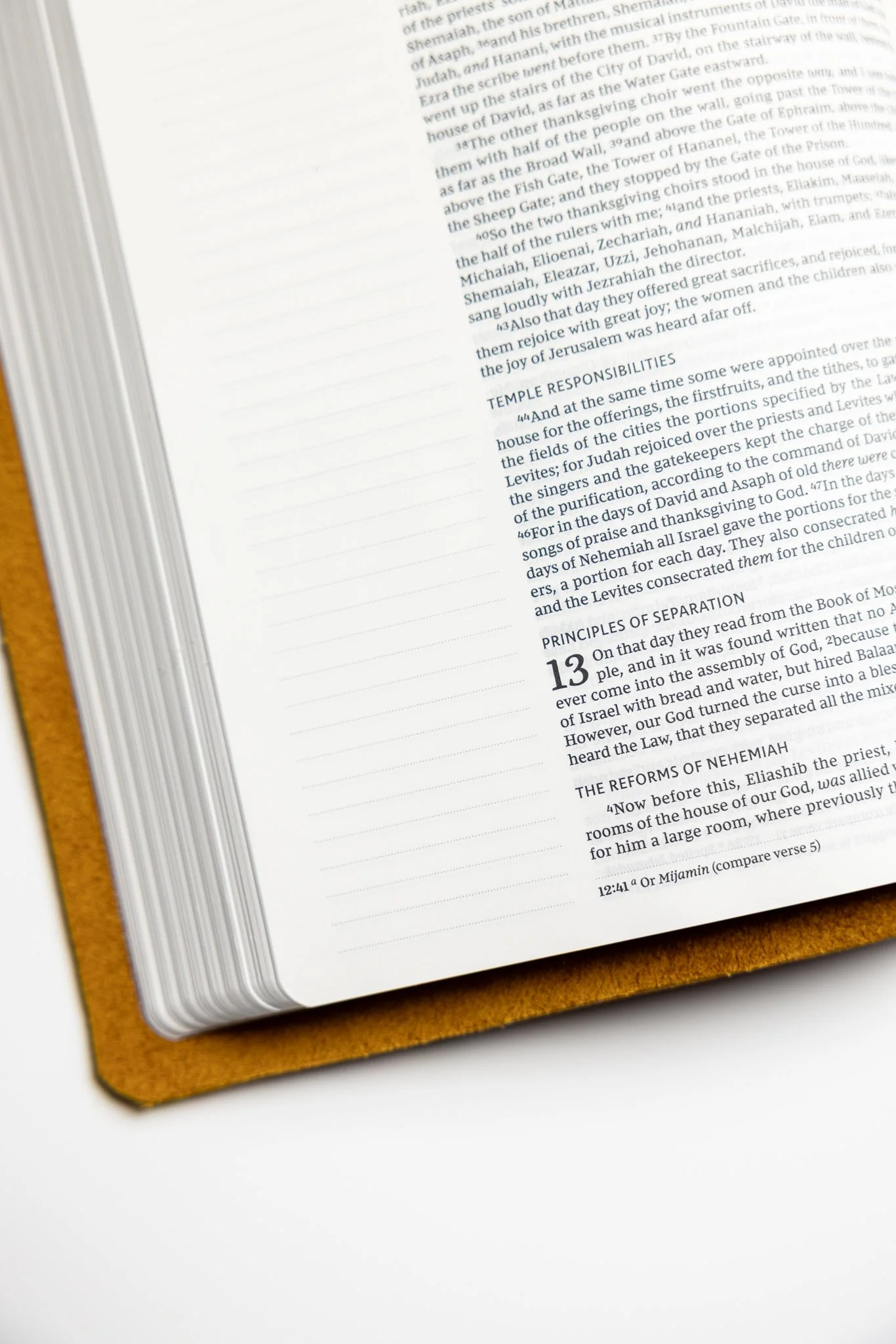 scriptura-nkjv-Journaling-bible-12.jpg