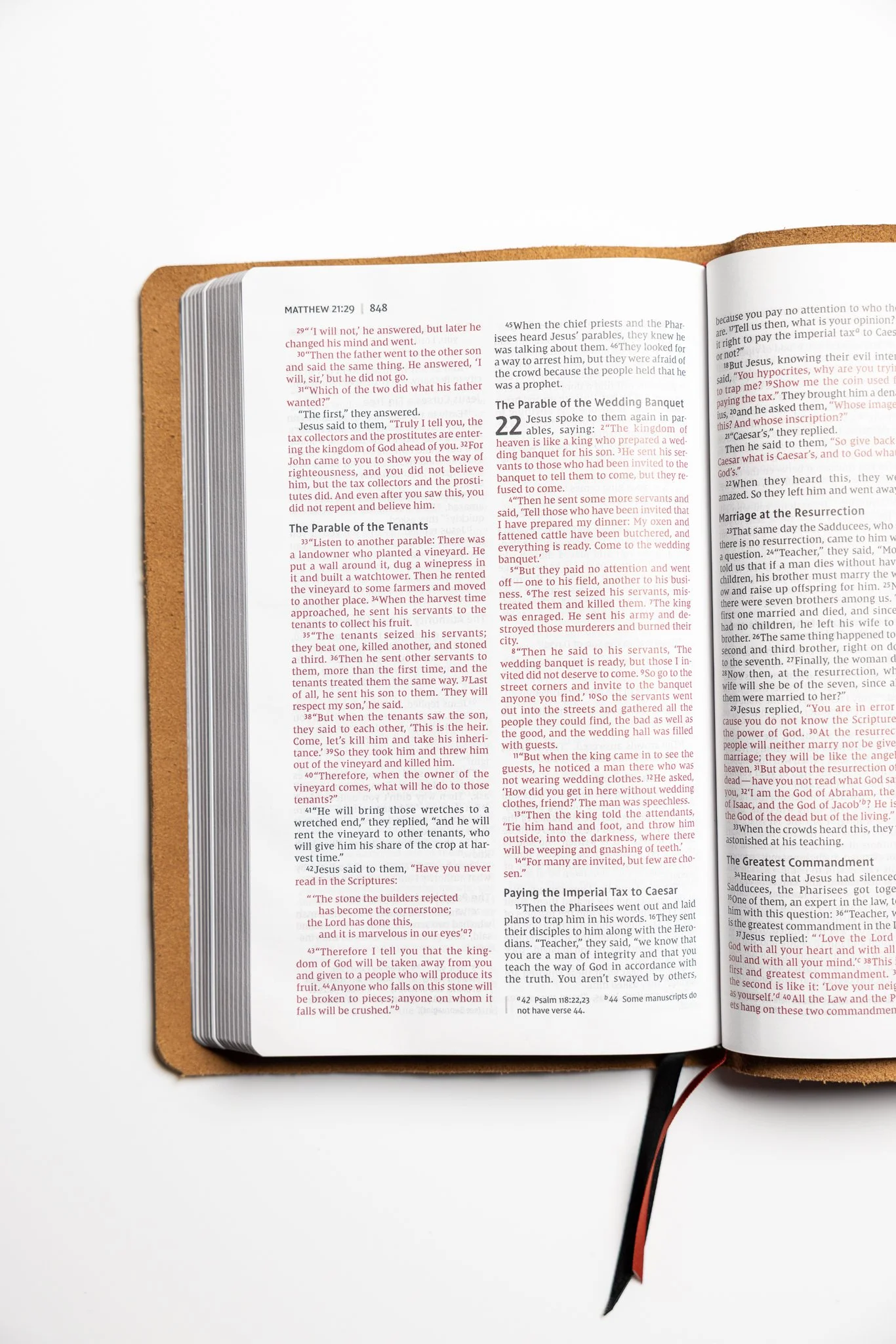 scriptura-niv-thinline-bible-17.jpg