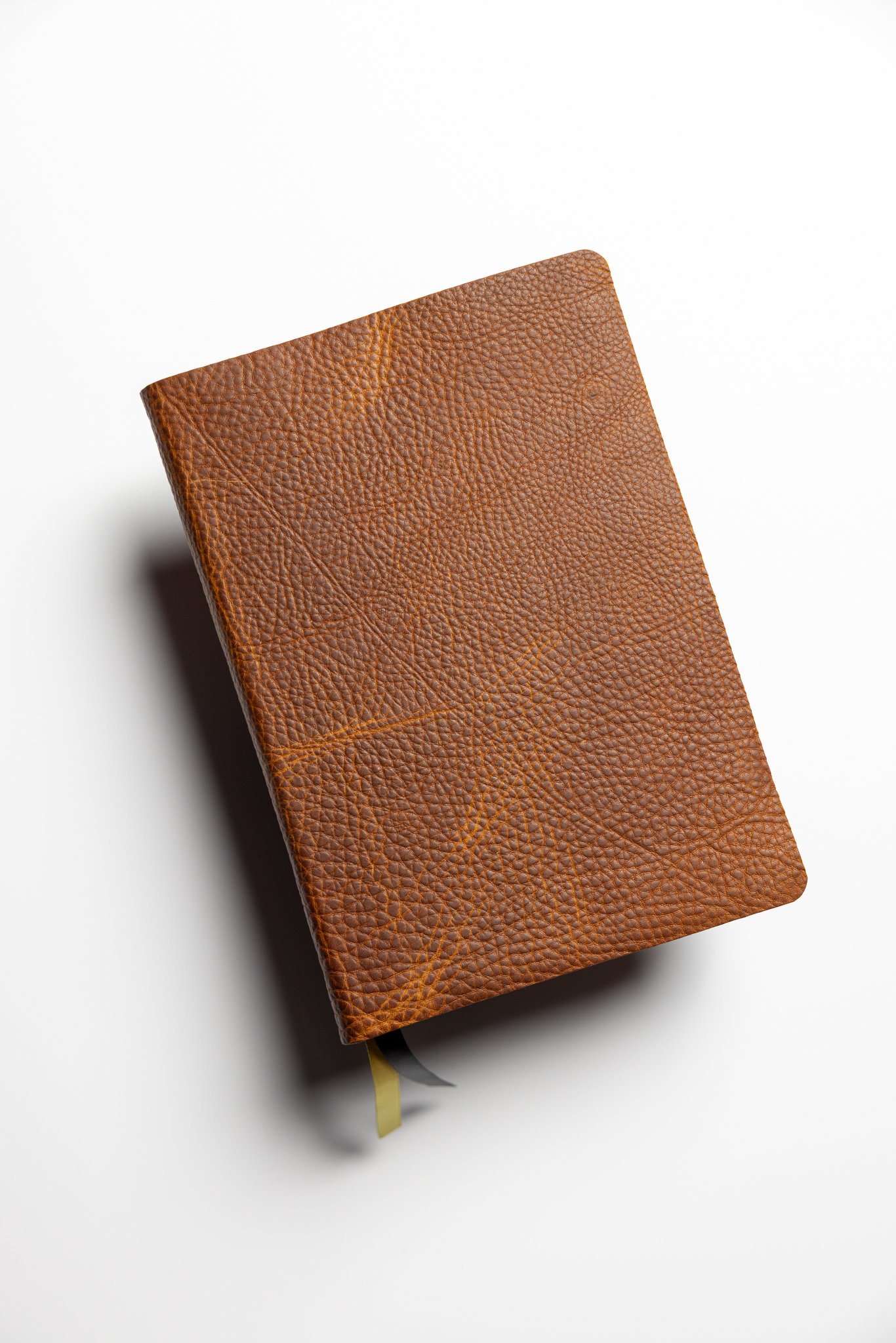 KJV Bible, Large Print Thinline Edition