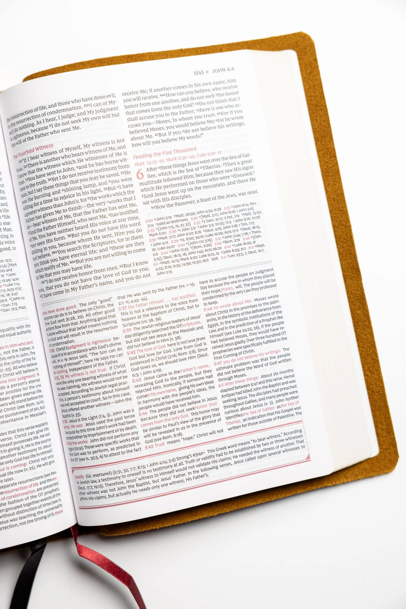 scriptura-nkjv-study-bible-08.jpg