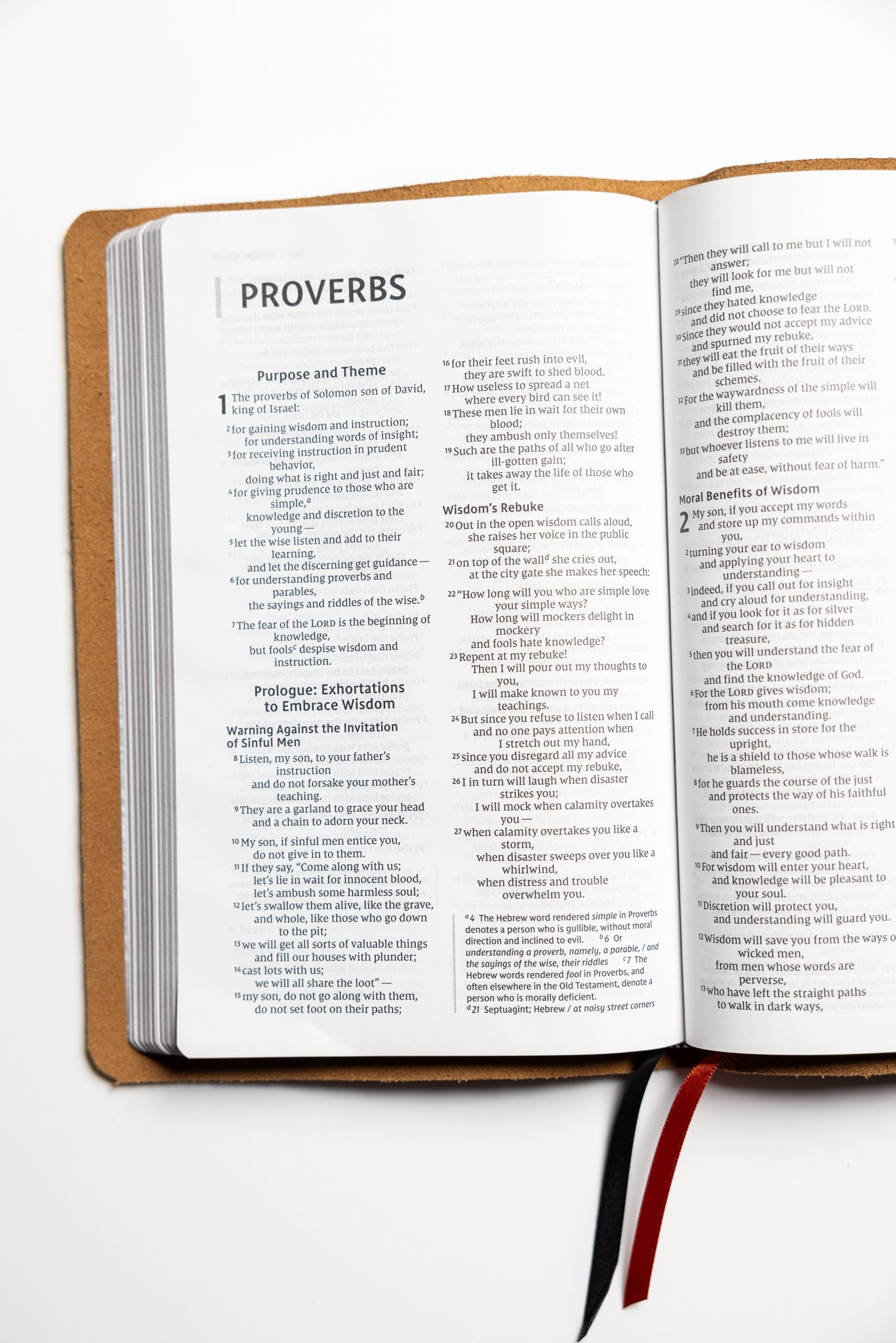 scriptura-niv-thinline-bible-11.jpg