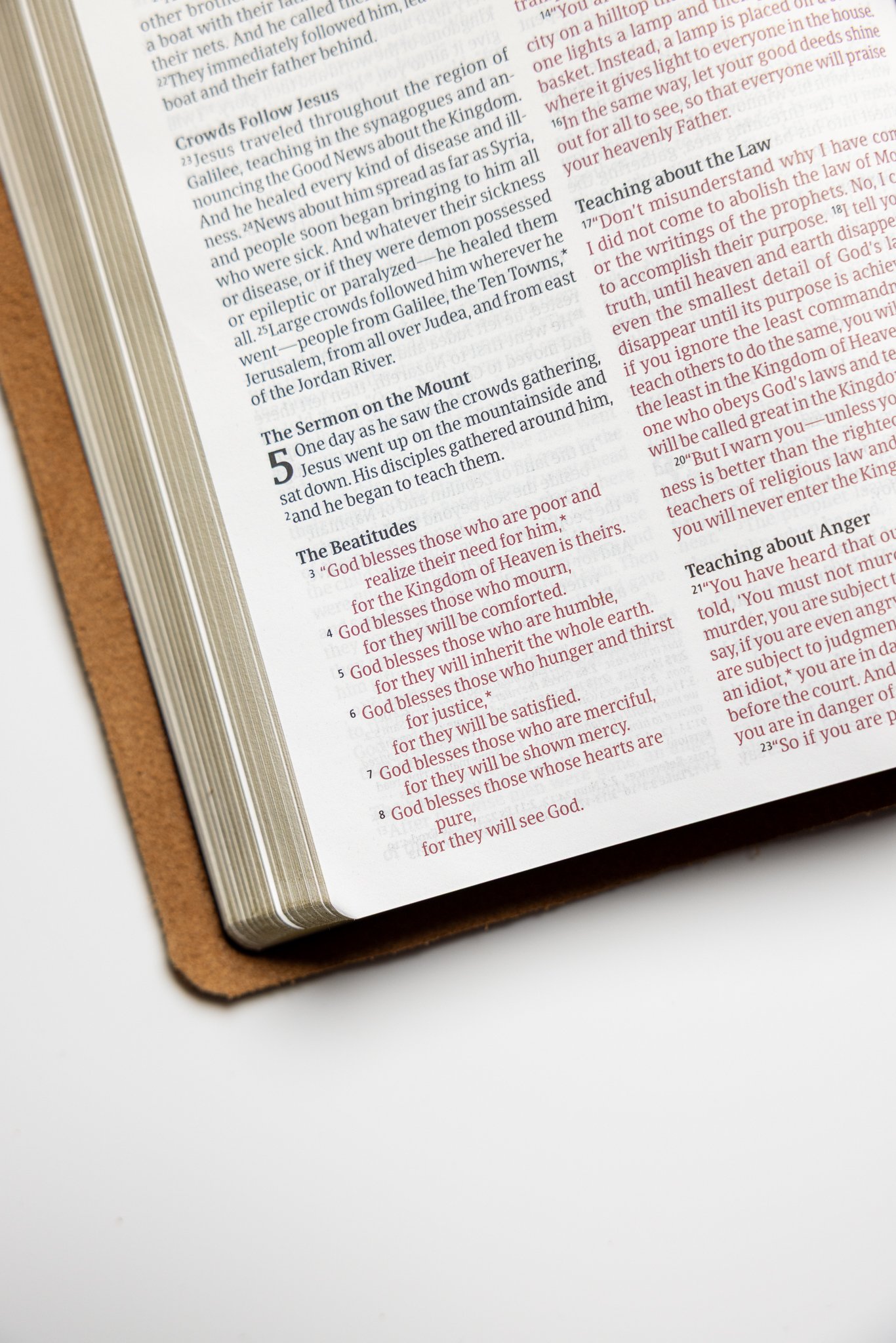 scriptura-nlt-thinline-reference-bible-88.jpg