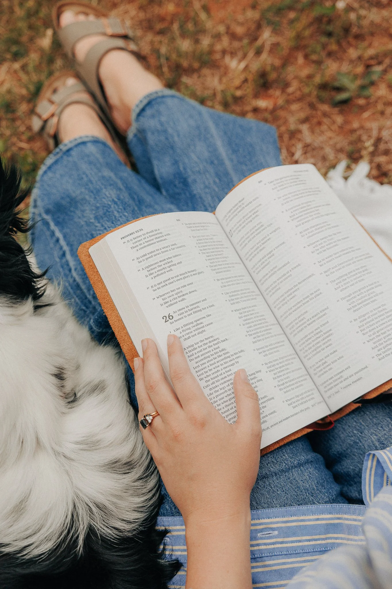 NKJV Large Print Thinline Leather Bible by Scriptura