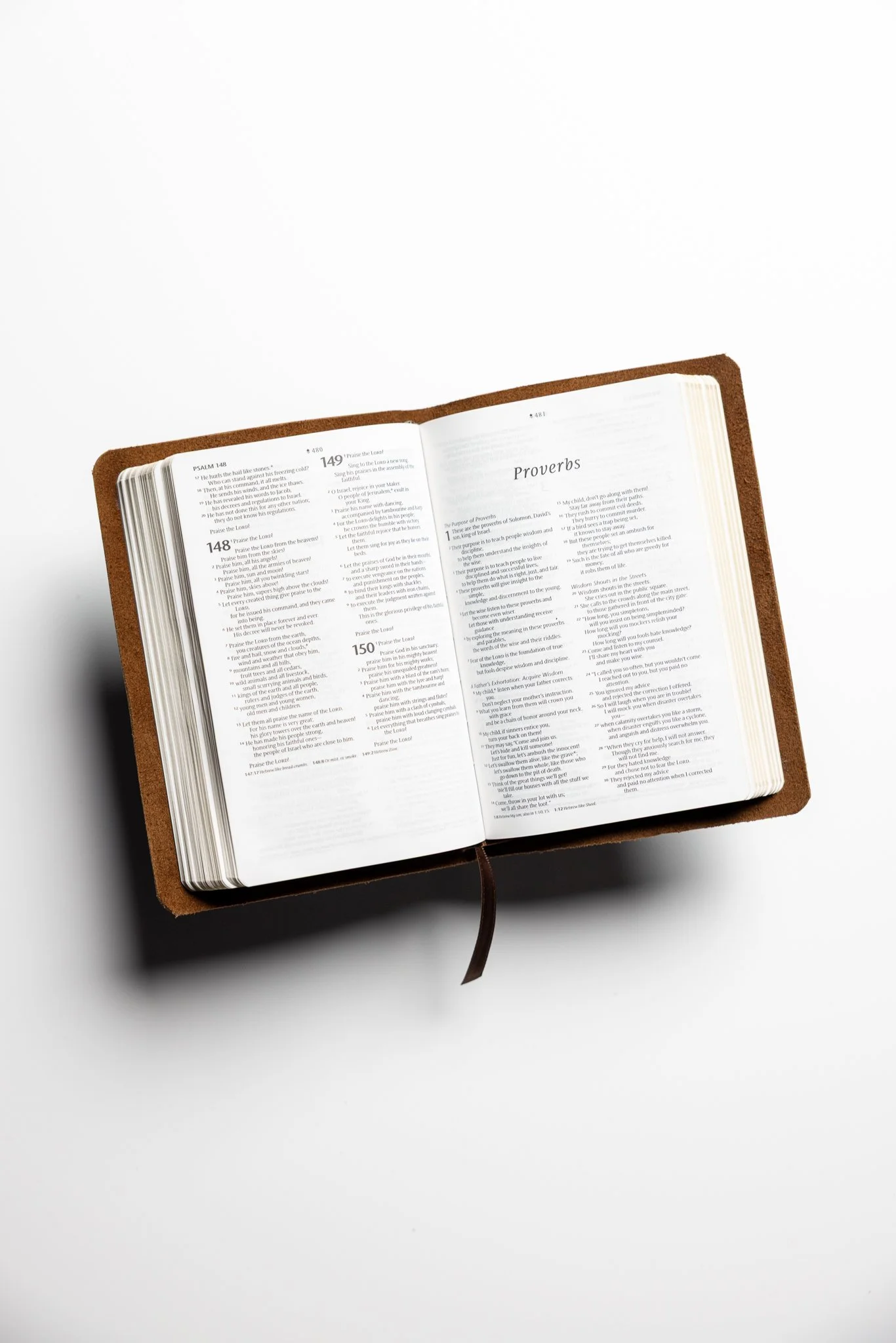 scriptura-nlt-compact-bible-15.jpg