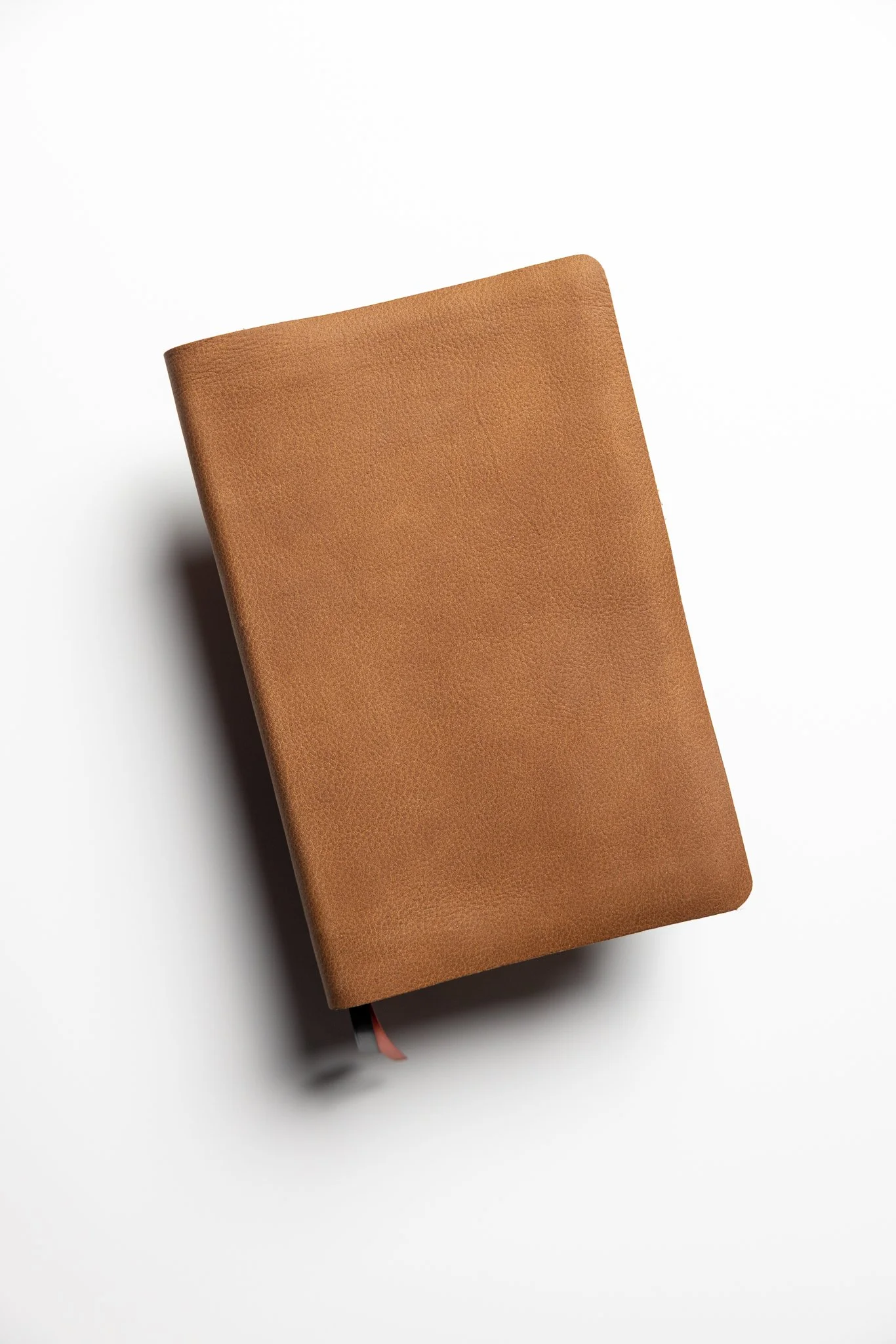 NIV Bible, Thinline Edition