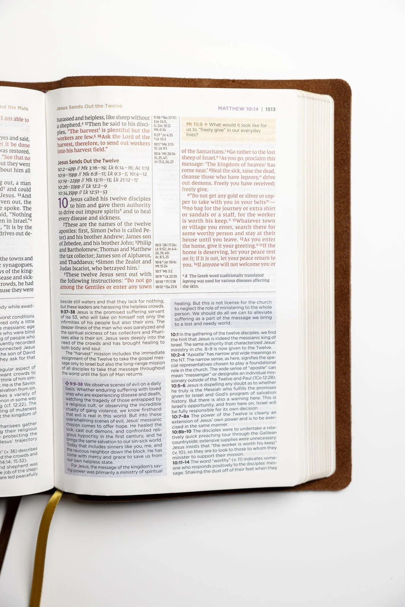 scriptura-niv-study-bible-16.jpg