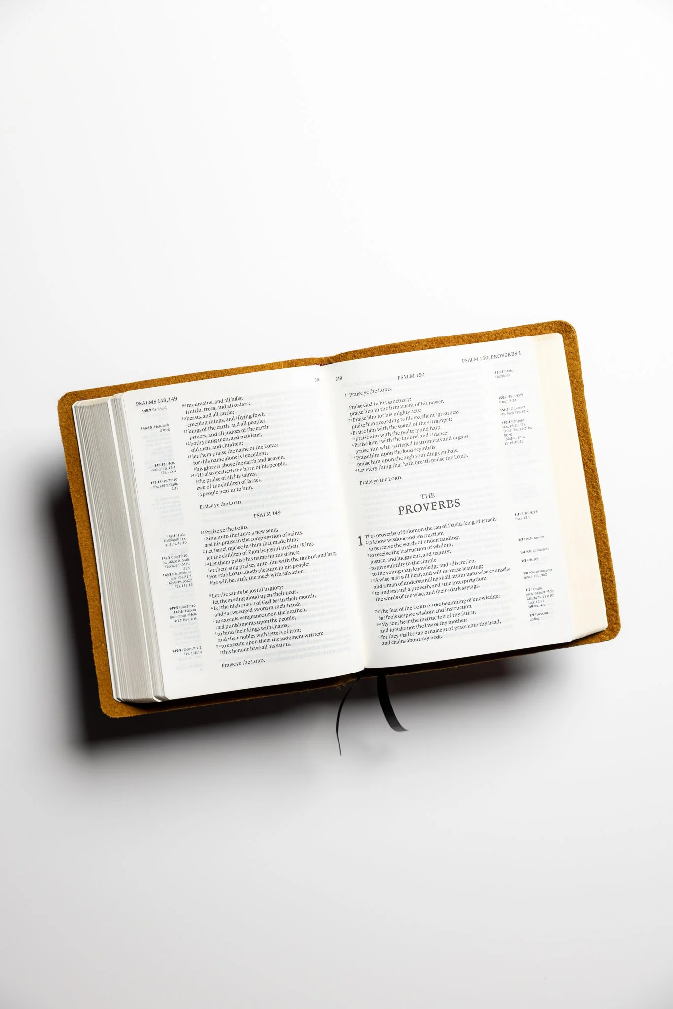 scriptura-kjv-clarion-reference-bible-02.jpg