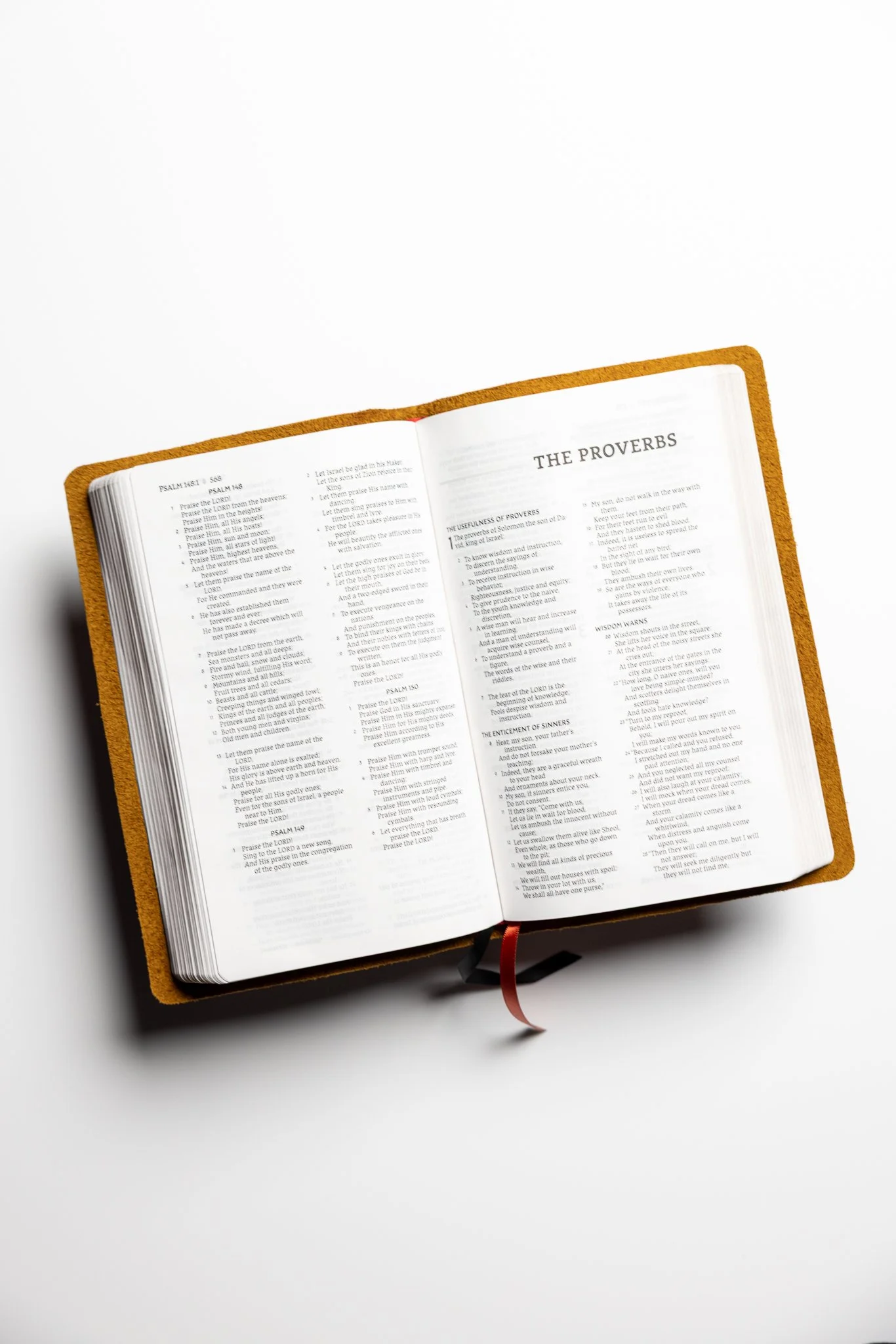 scriptura-nasb-thinline-bible-03.jpg