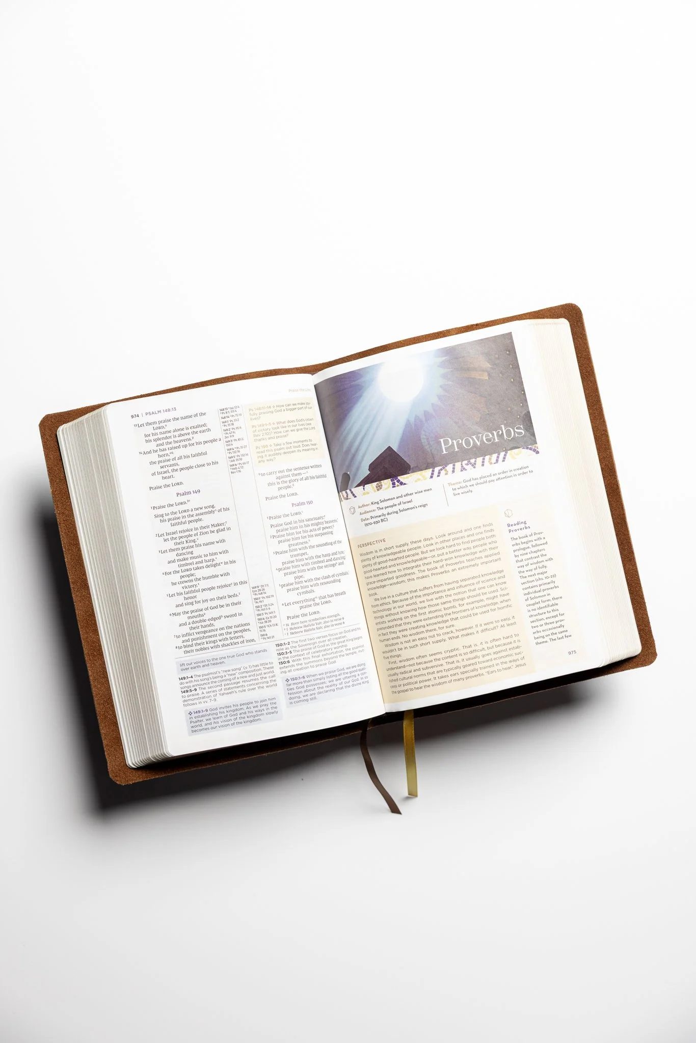 scriptura-niv-study-bible-06.jpg