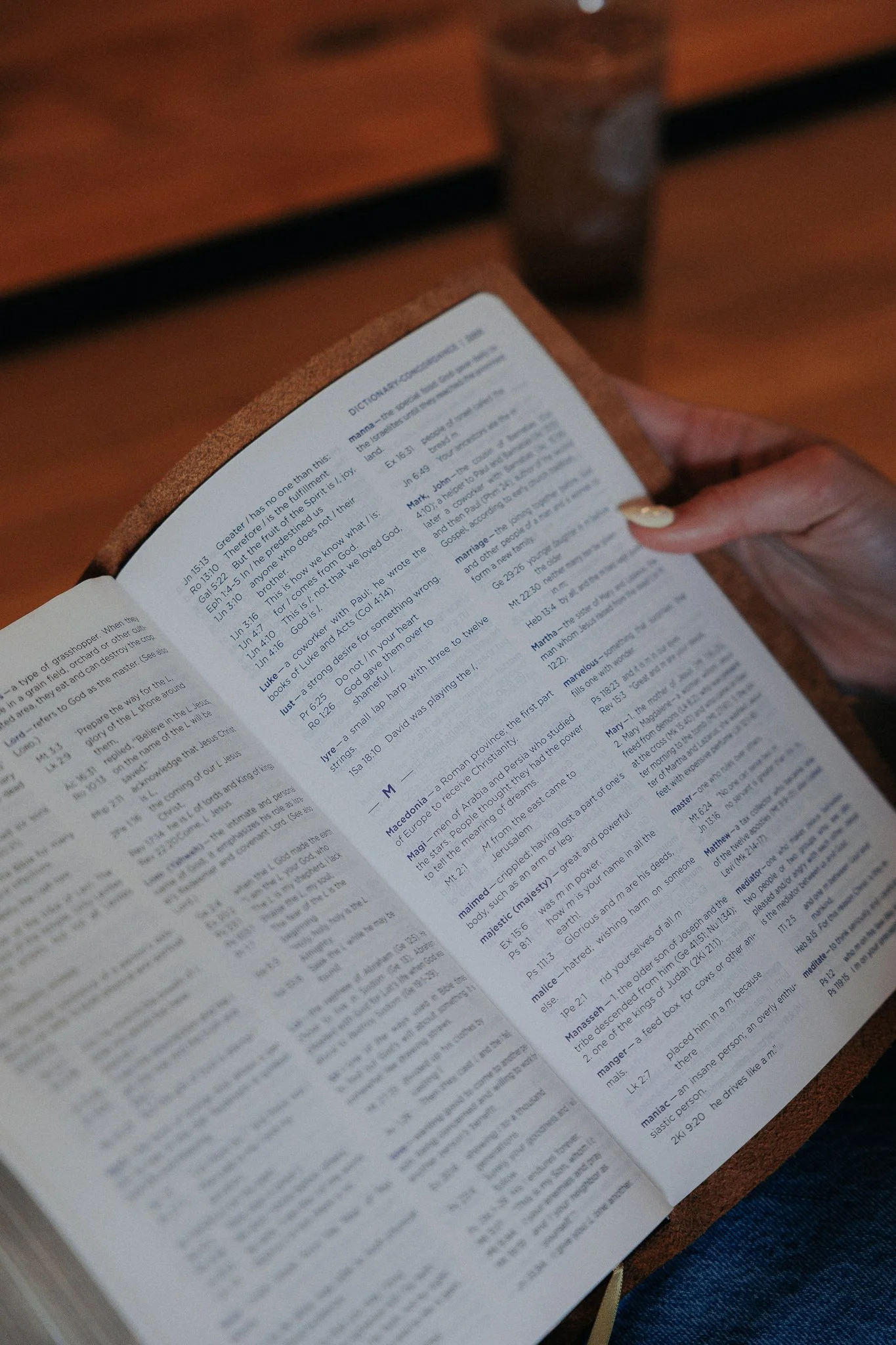 scriptura-niv-study-bible-67.jpg