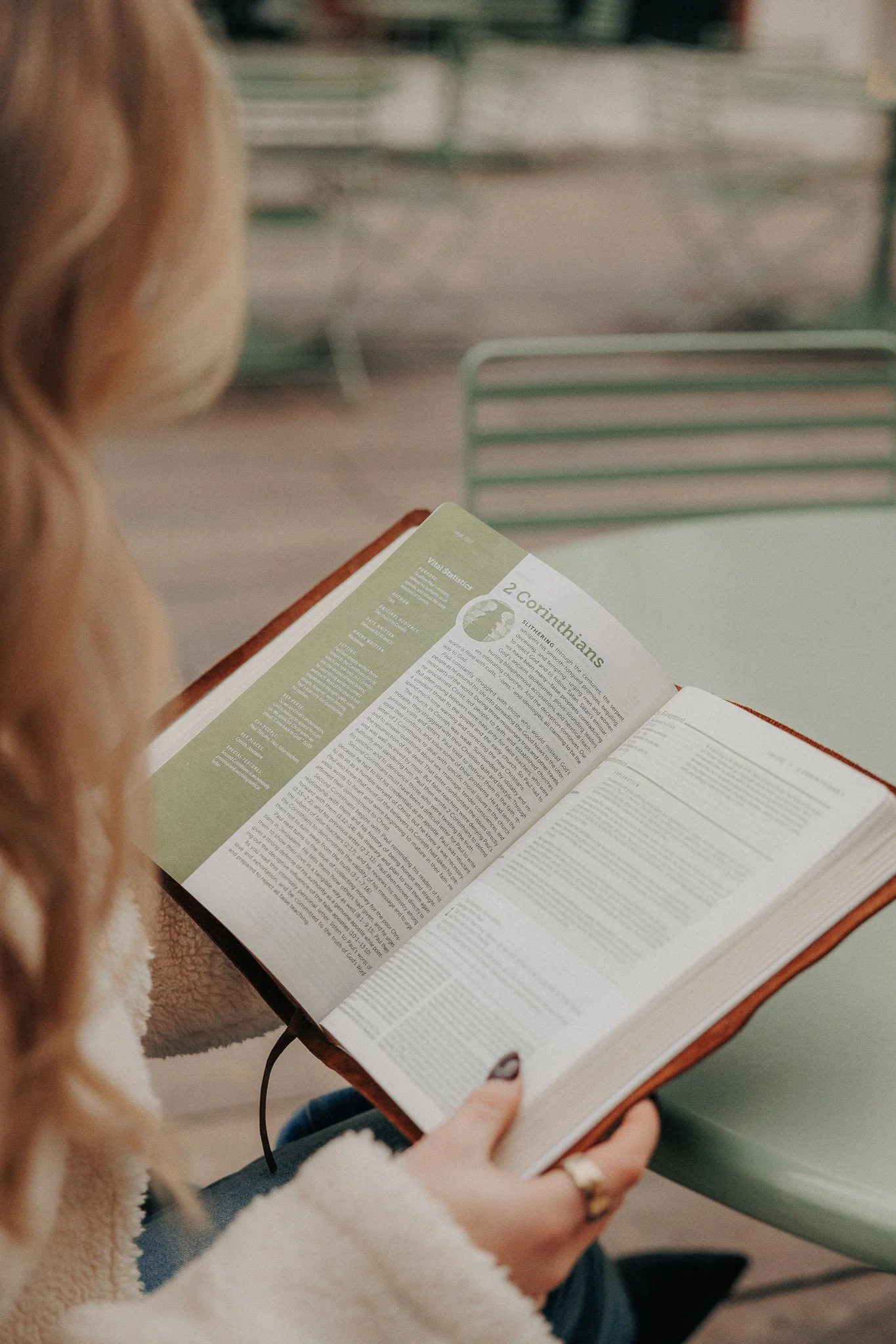 NLT Bible, Life Application Study Edition