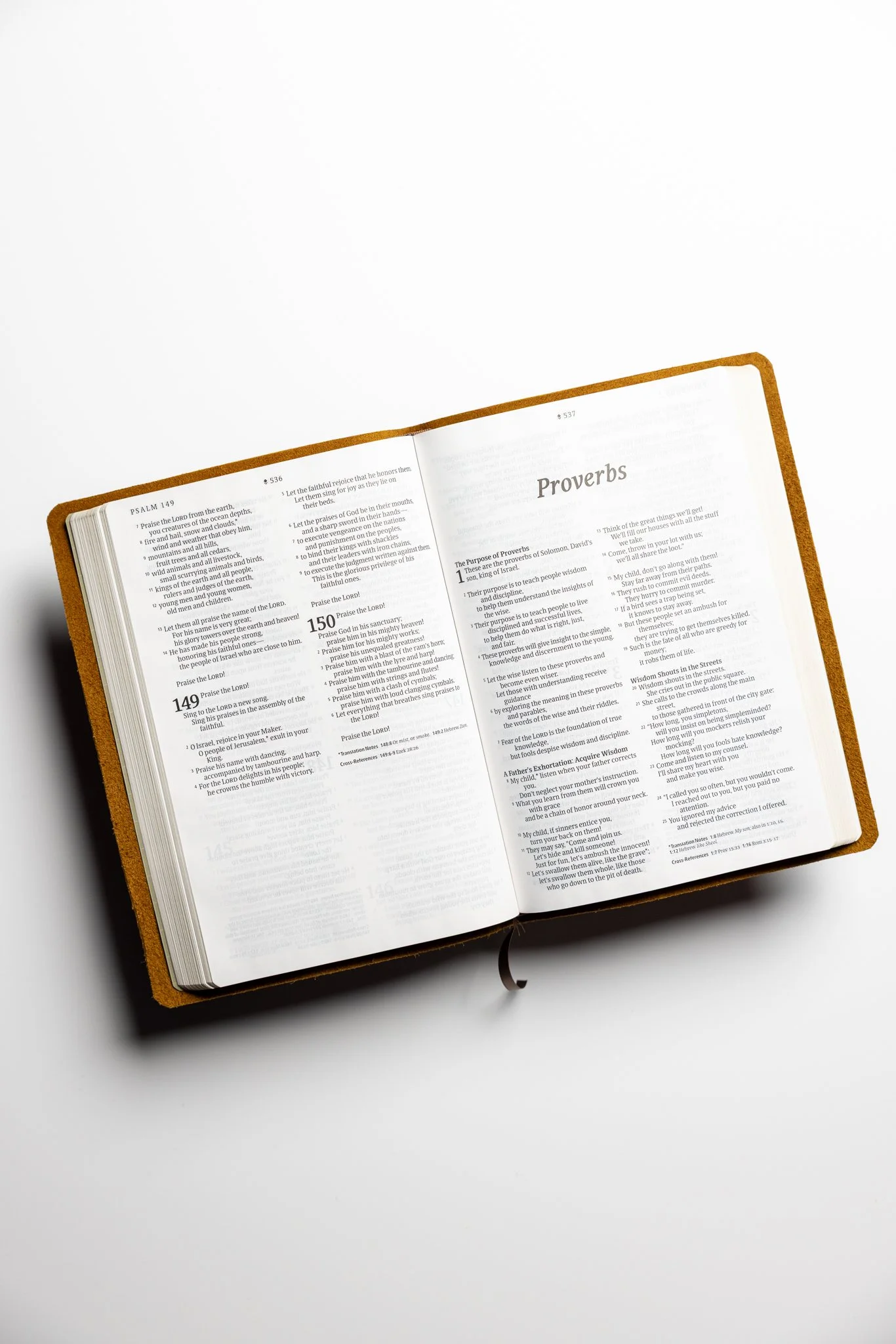 scriptura-nlt-large-print-thinline-reference-bible-04.jpg
