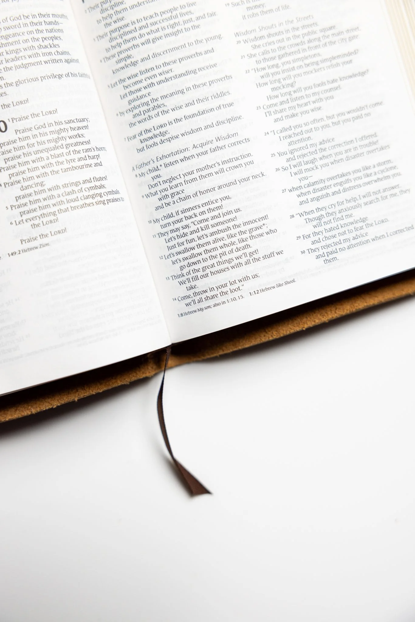 scriptura-nlt-compact-bible-23.jpg