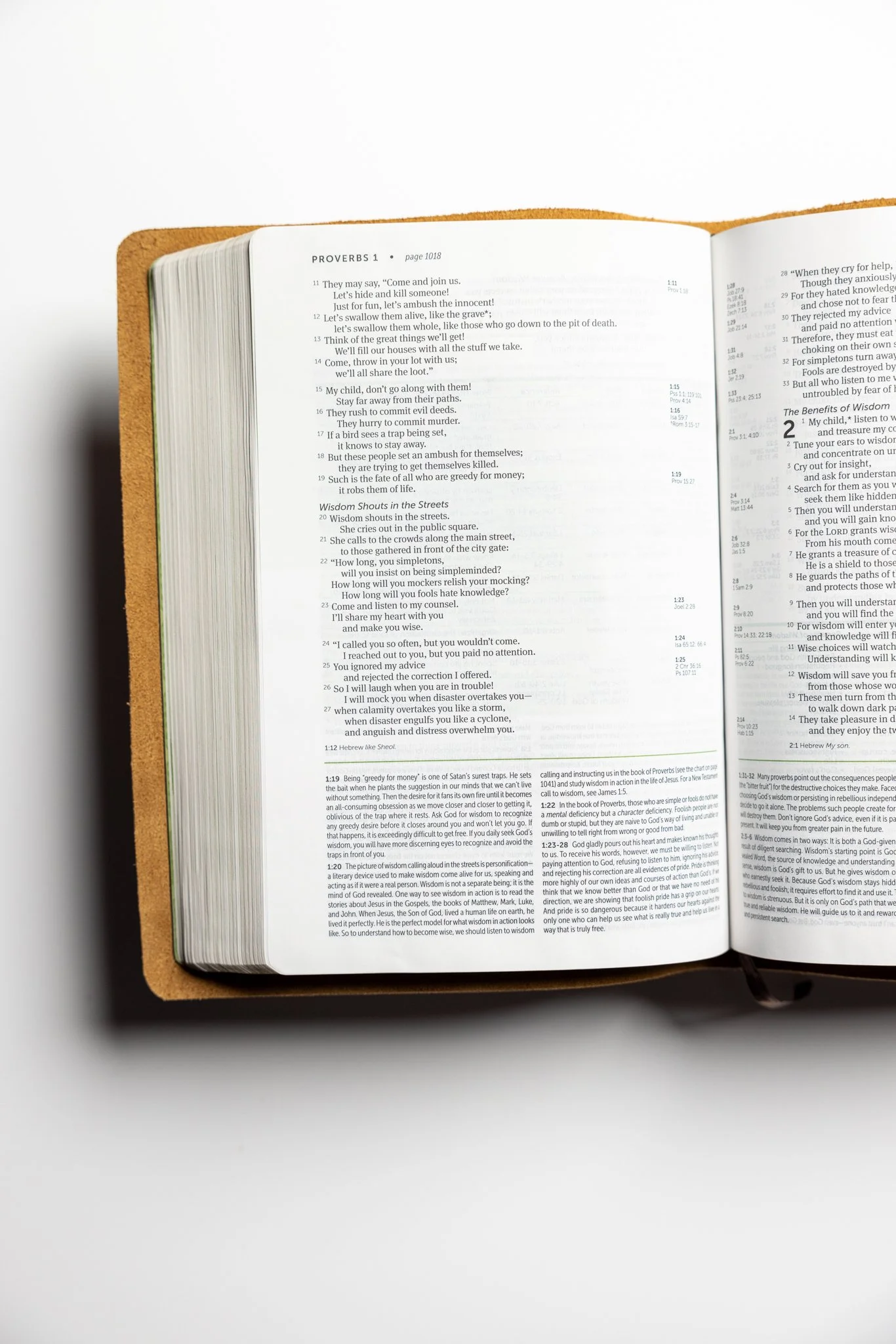 scriptura-nlt-study-bible-07.jpg