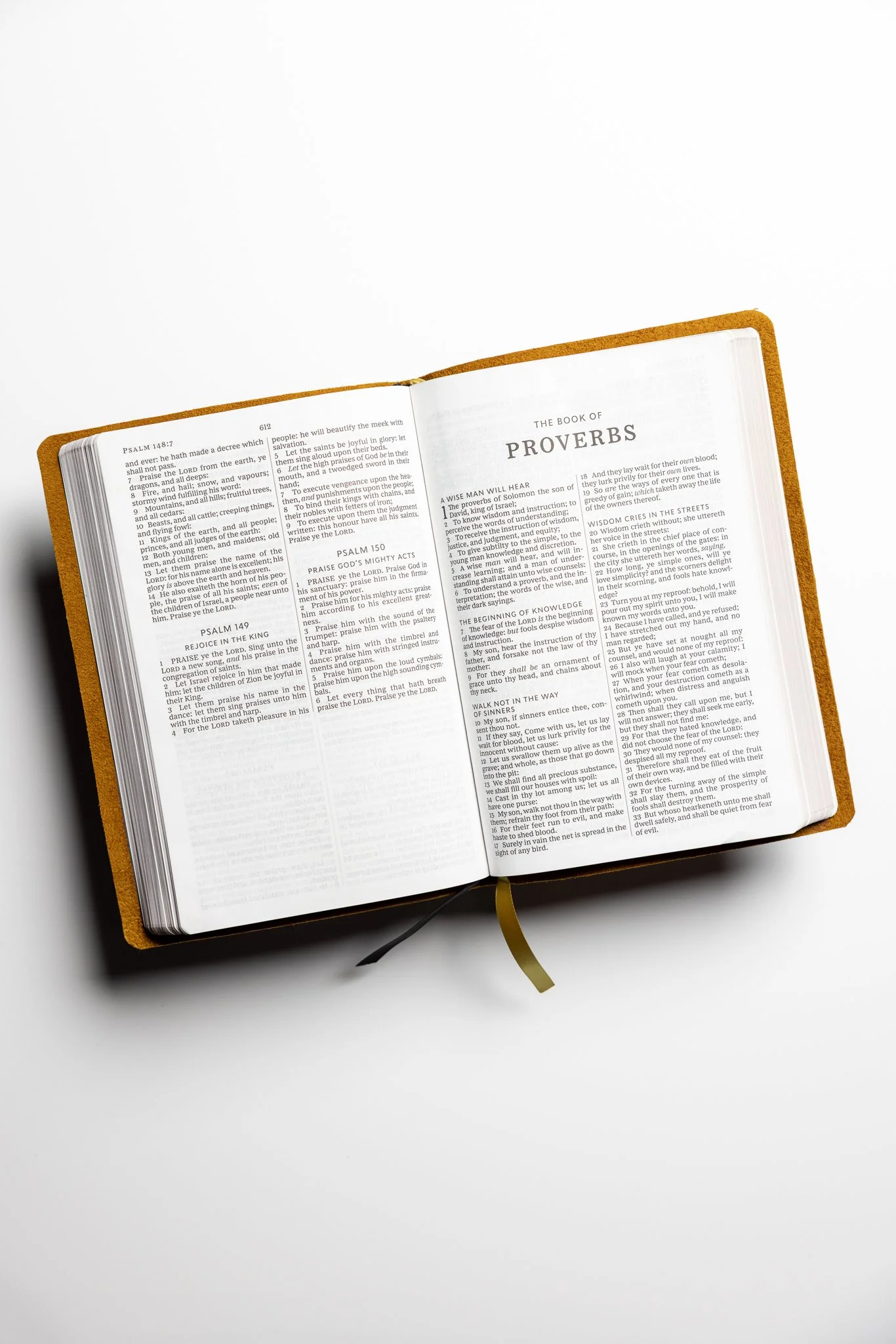 scriptura-kjv-large-print-thinline-bible-02.jpg