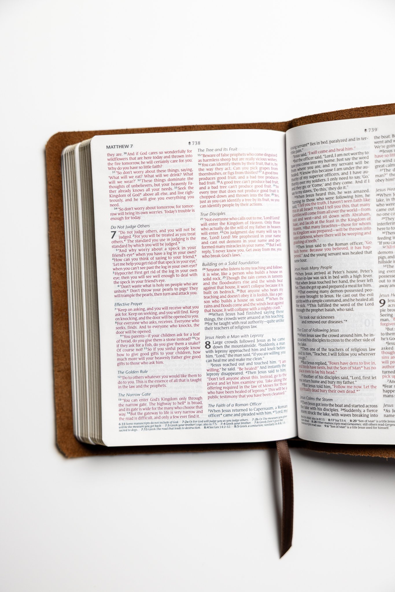 scriptura-nlt-compact-bible-30.jpg