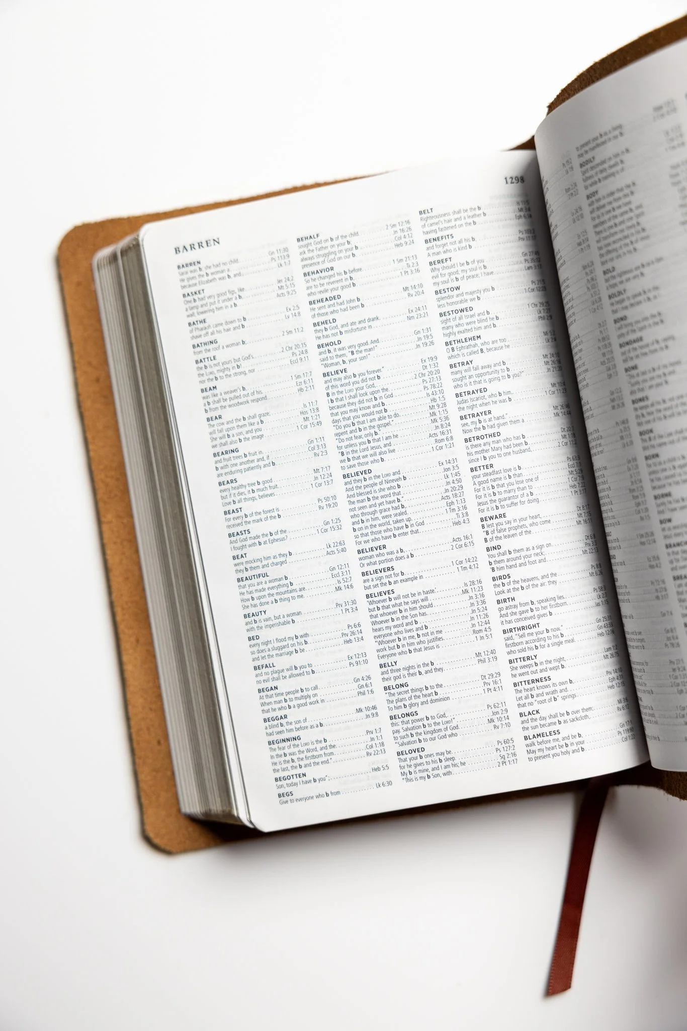 scriptura-esv-large-print-compact-bible-13.jpg