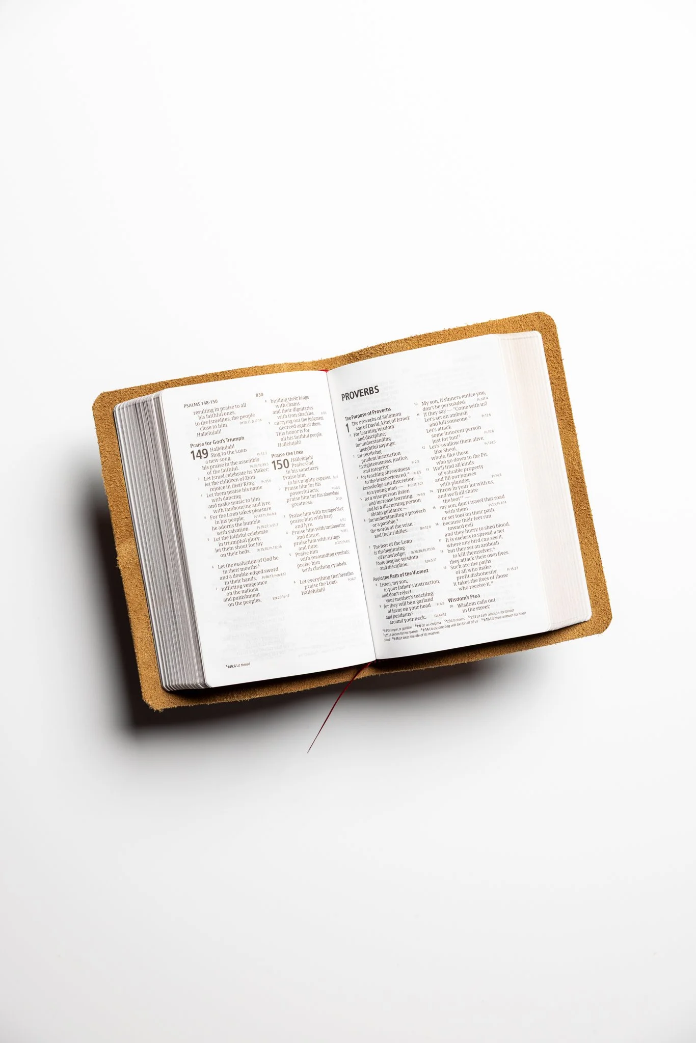 scriptura-csb-large-print-compact-reference-bible-12.jpg