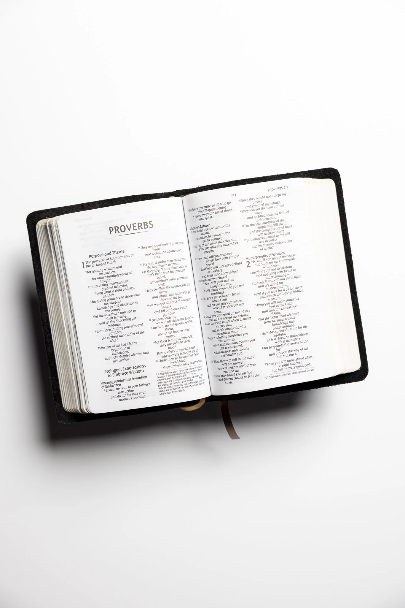 scriptura-niv-large-print-compact-bible-16.jpg