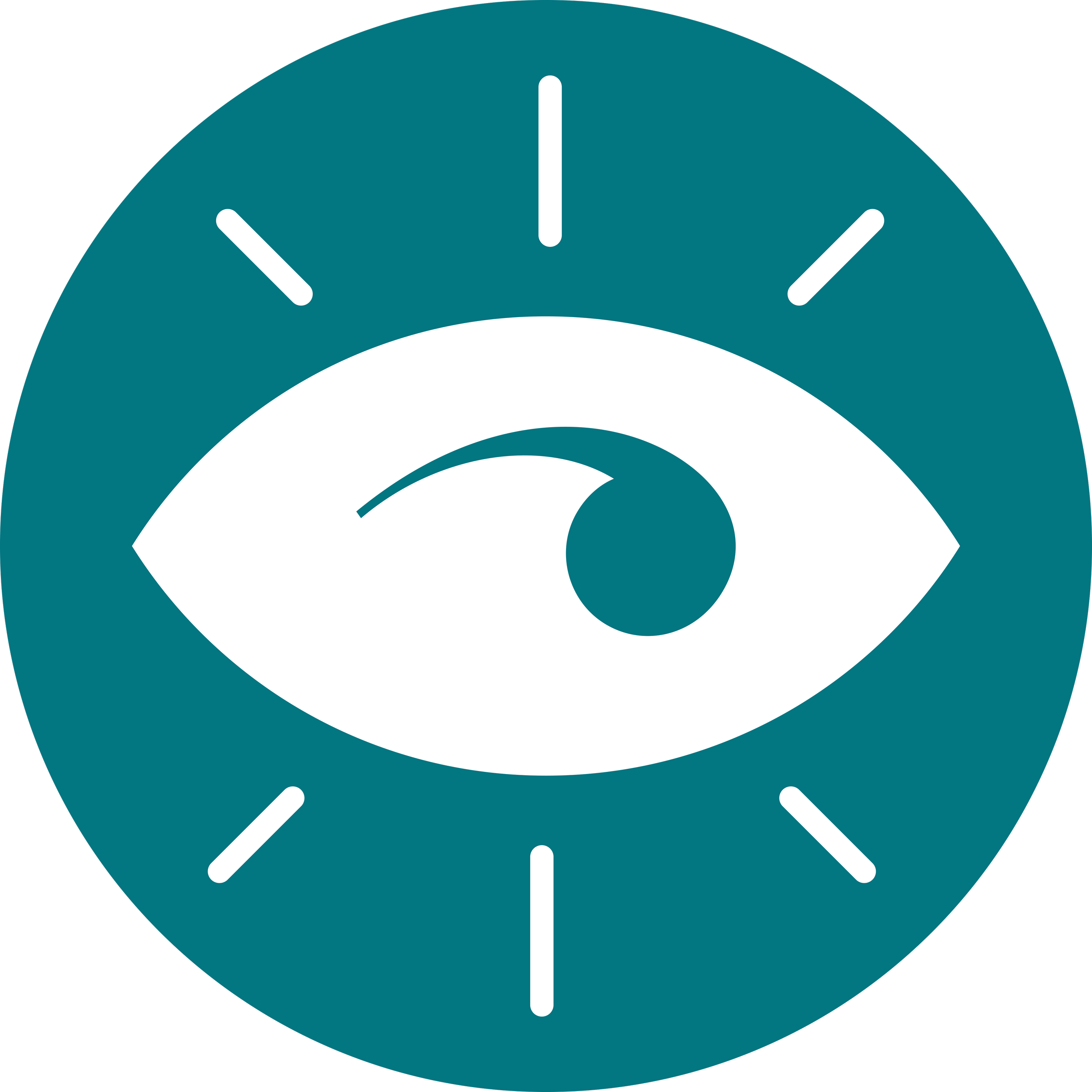 Junapr insight icon that is the shape of an eye with a single apostrophe as the pupil
