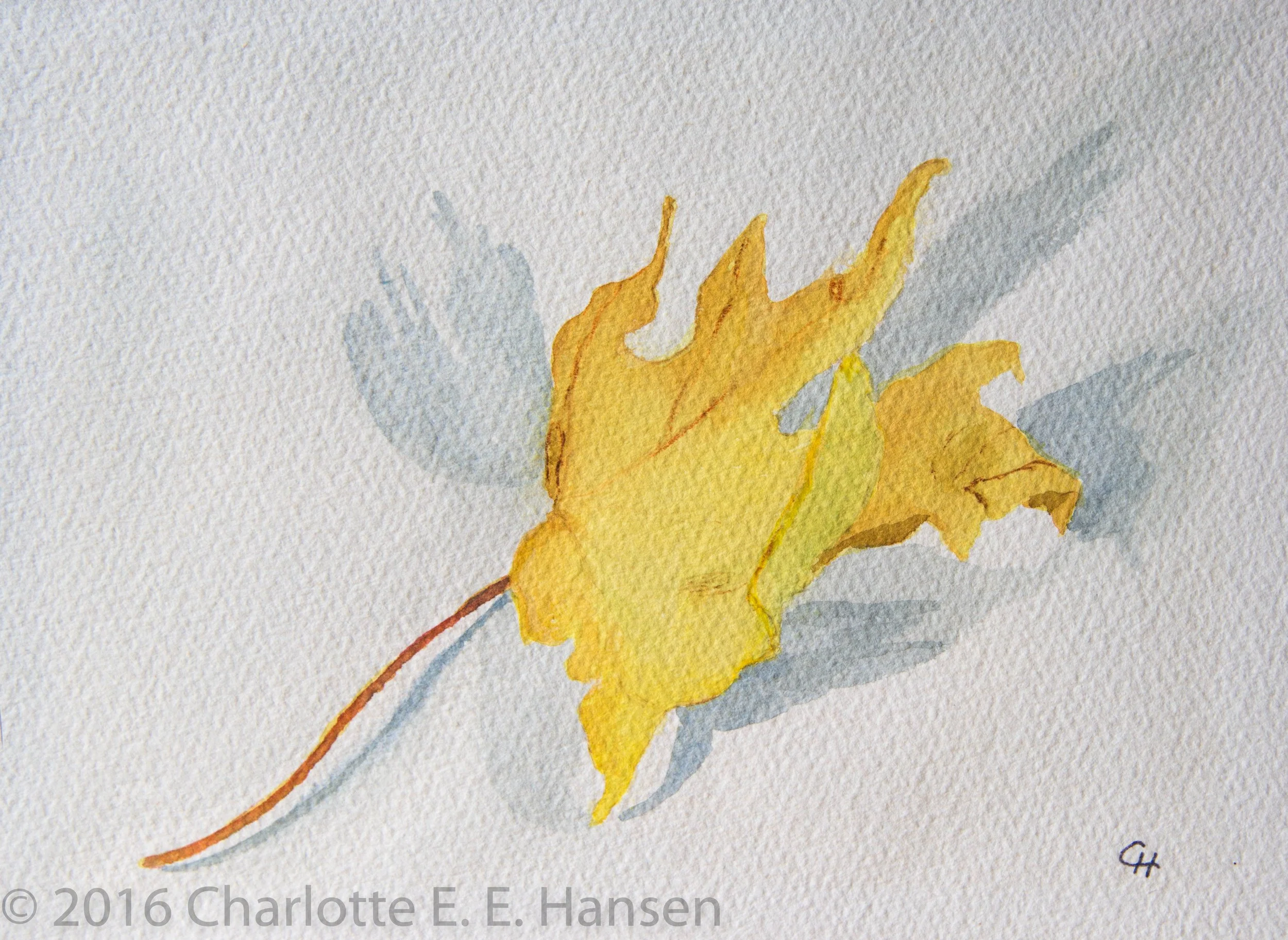 Watercolor painting of a yellow autumn leaf with a brown stem, casting a gray shadow on a white background.
