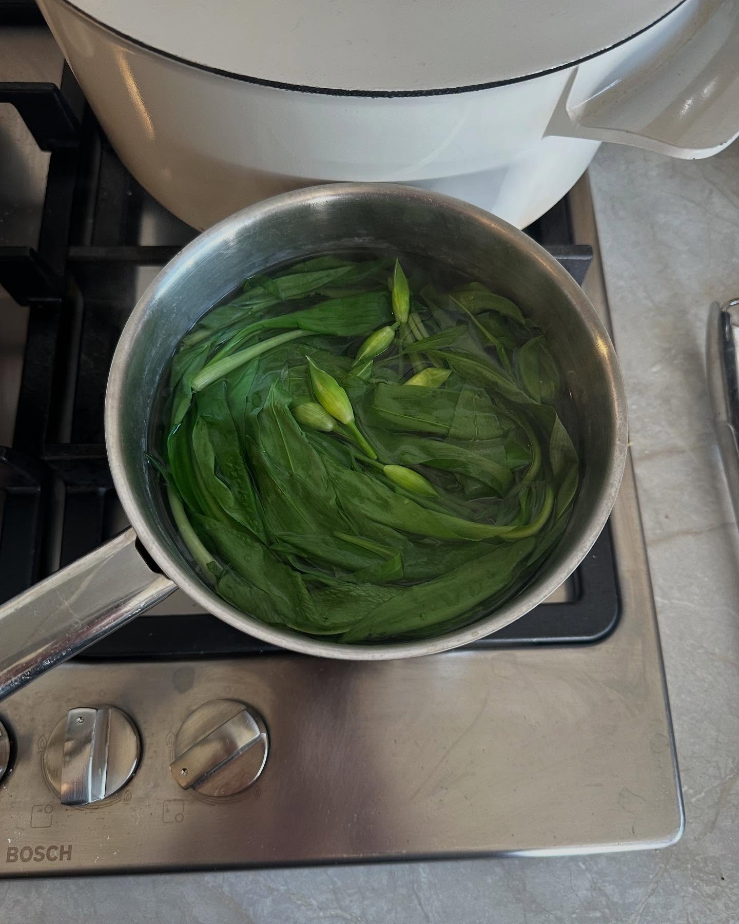 Very happy about Spring happenings - a few photos from the past week of recipe testing, visiting @kathryn_armitage new studio and a weekend in the sun 🌸 #wildgarlicseason