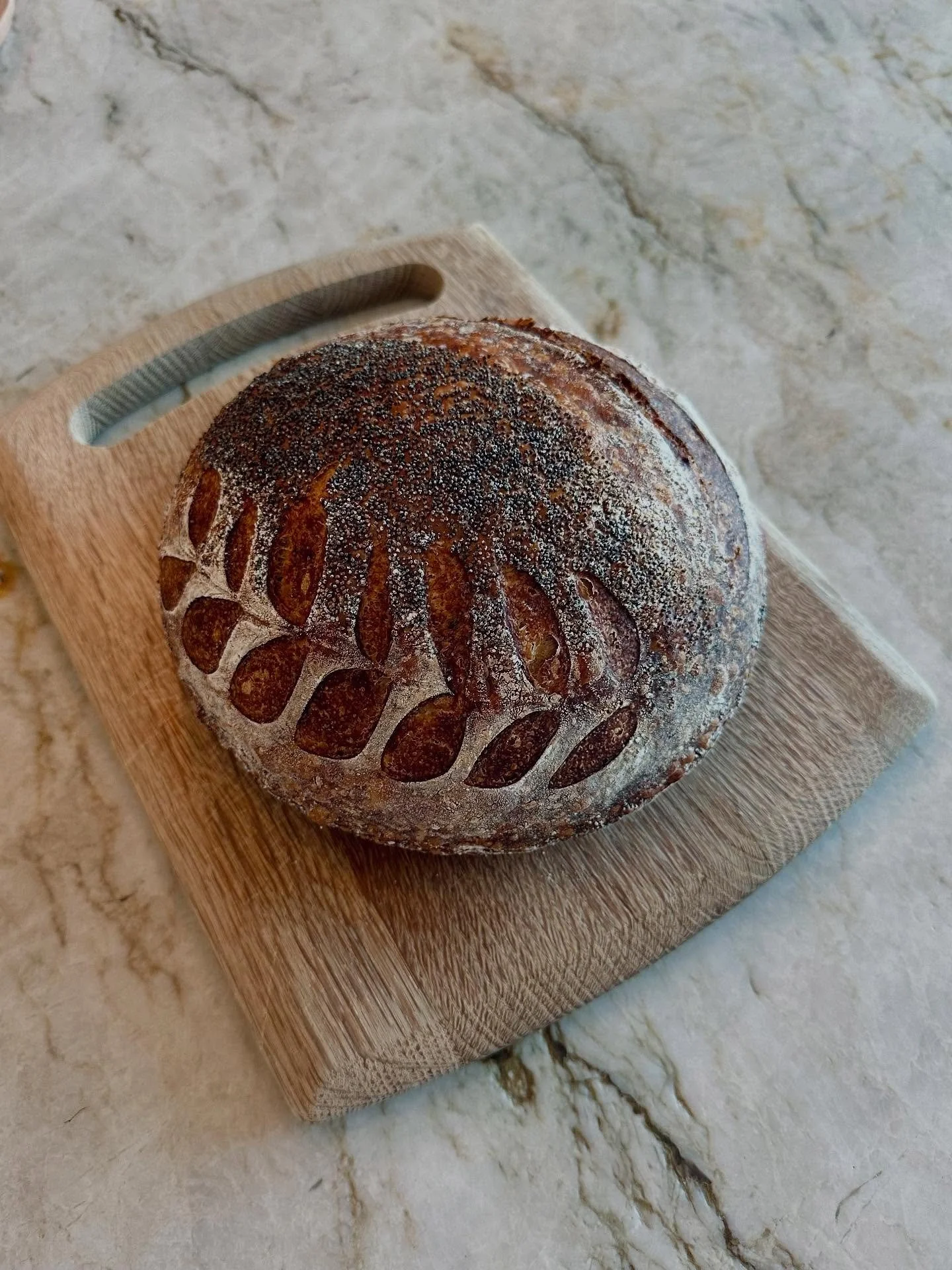 A blossoming love between sourdough and myself 💛 I&rsquo;ve always baked, but mostly sweet things, so learning how to make sourdough has been a whole new labour of love and I still have 1000+ things to learn, but my my, the excitement every time I b