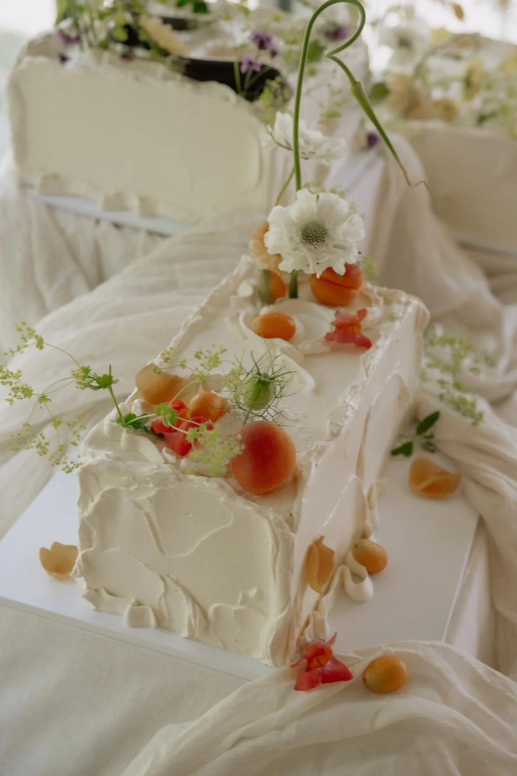 c75c8072-7415-47ec-82b5-42a33caecb1a.JPG
