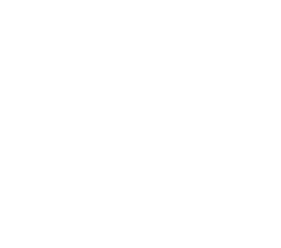 Lotus Mandala