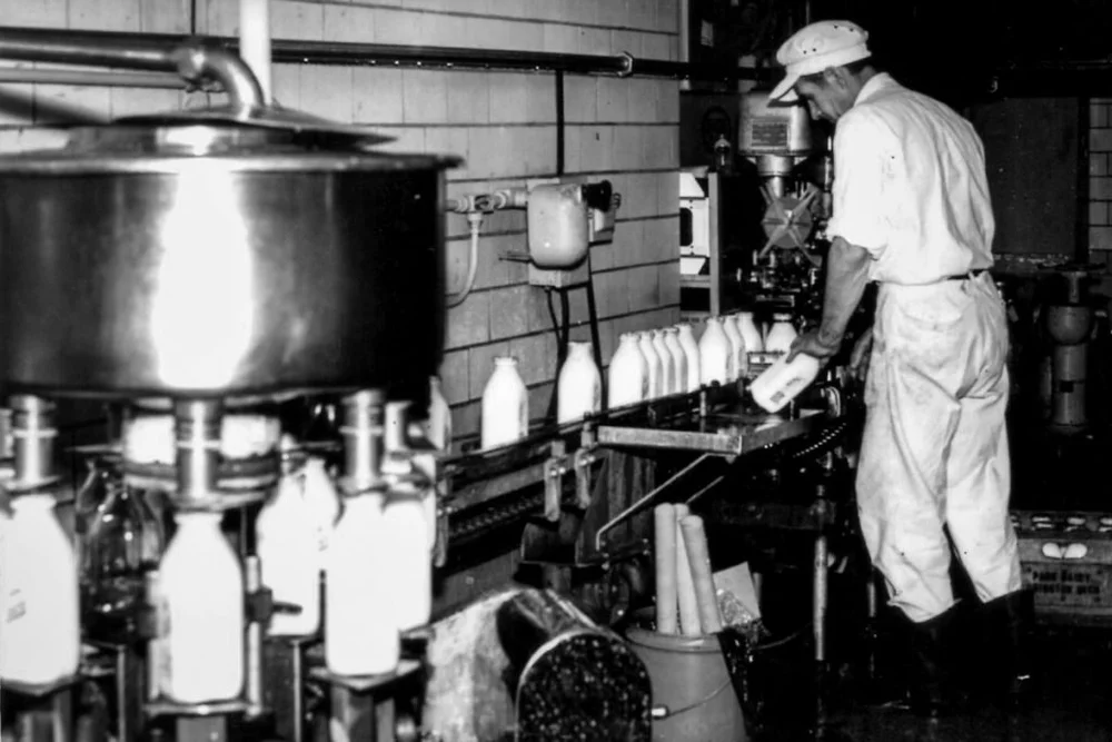 Our History — House of Flavors