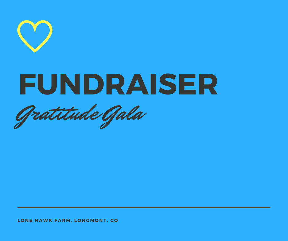 Fundraiser: Gratitude Gala