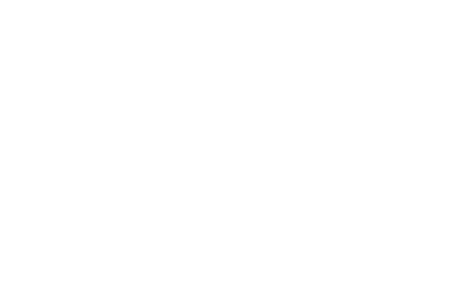 moodytiger logo - rekon retail client.png