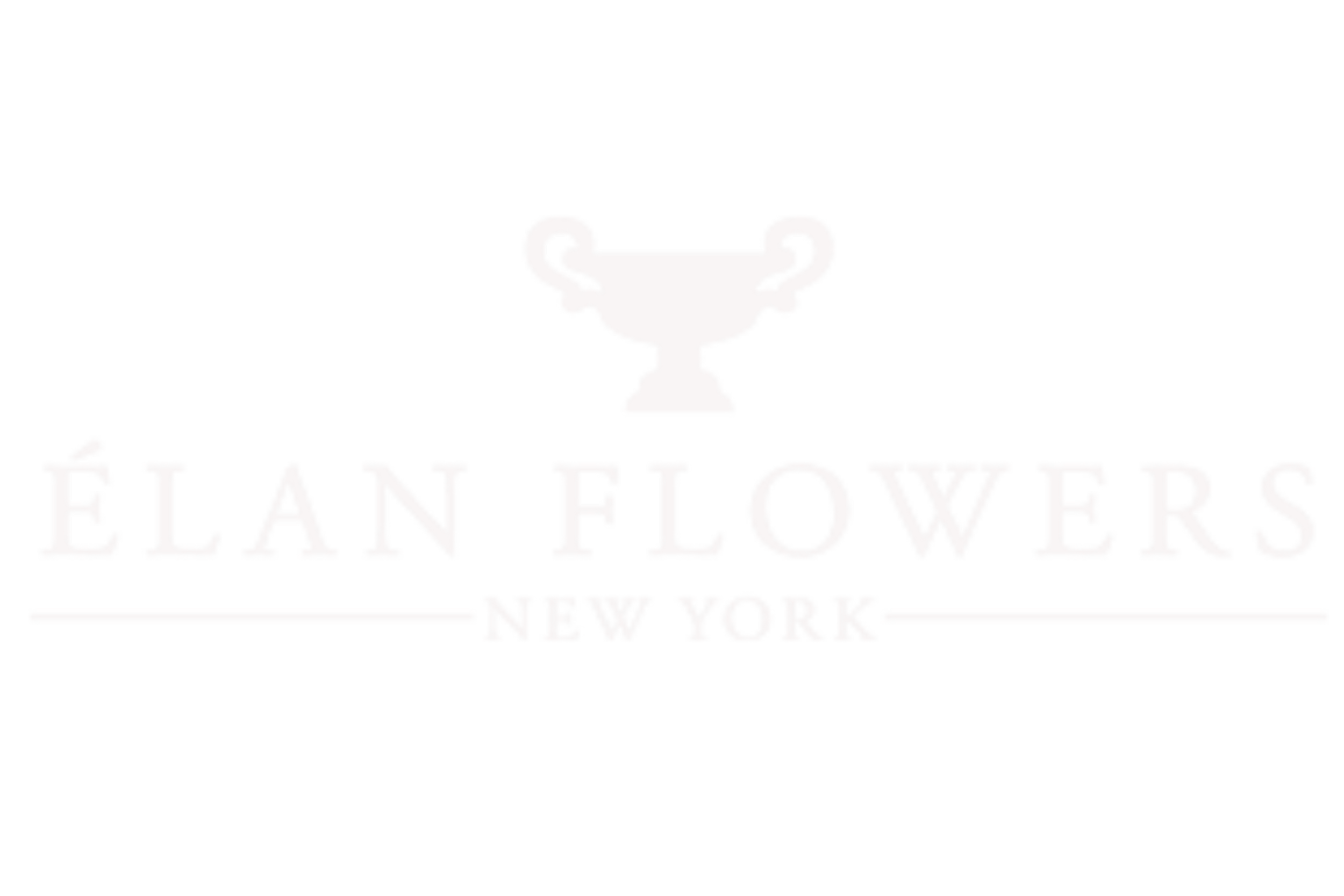 Elan Flowers logo - rekon Retail client.png