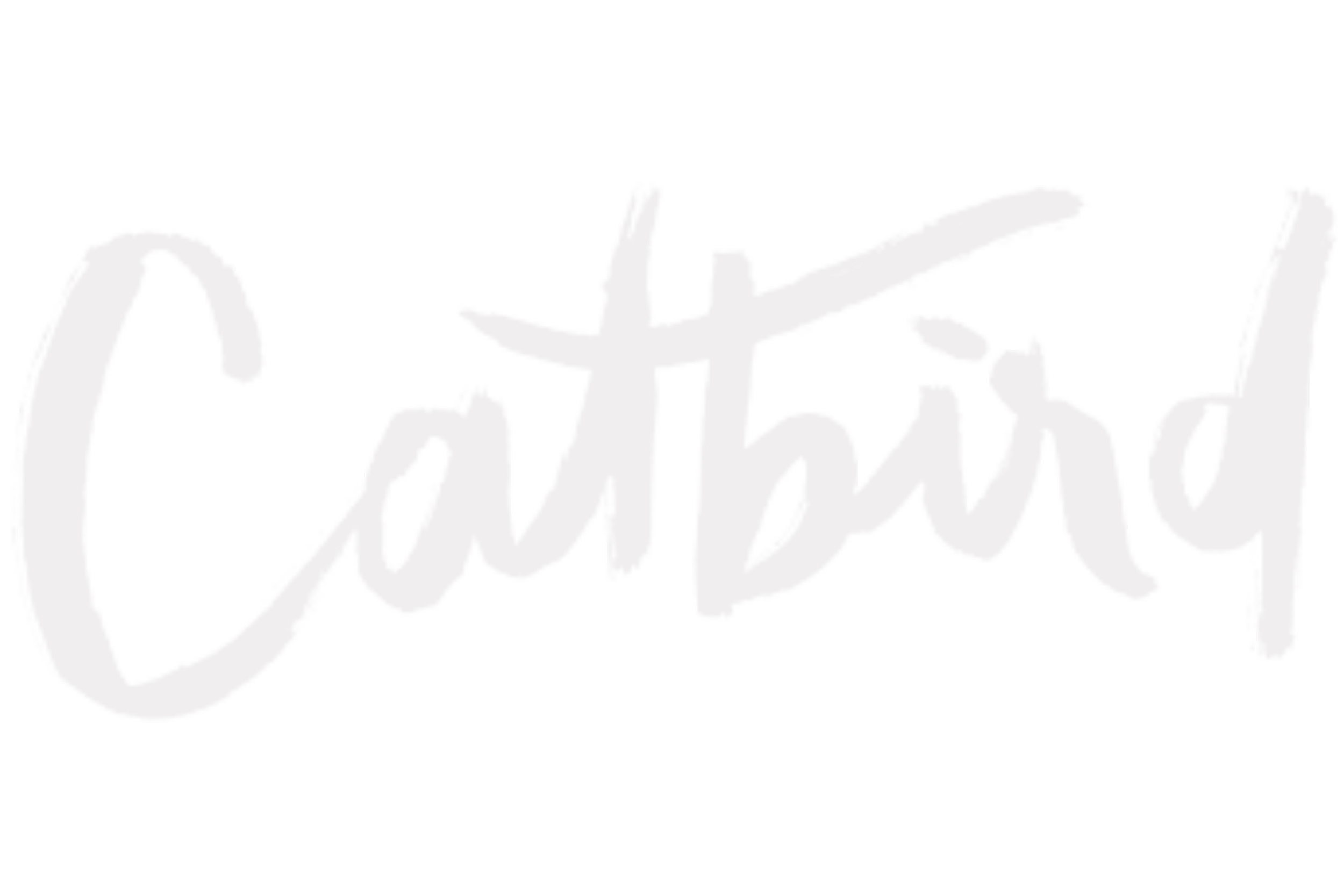 Catbird logo - rekon Retail client.png