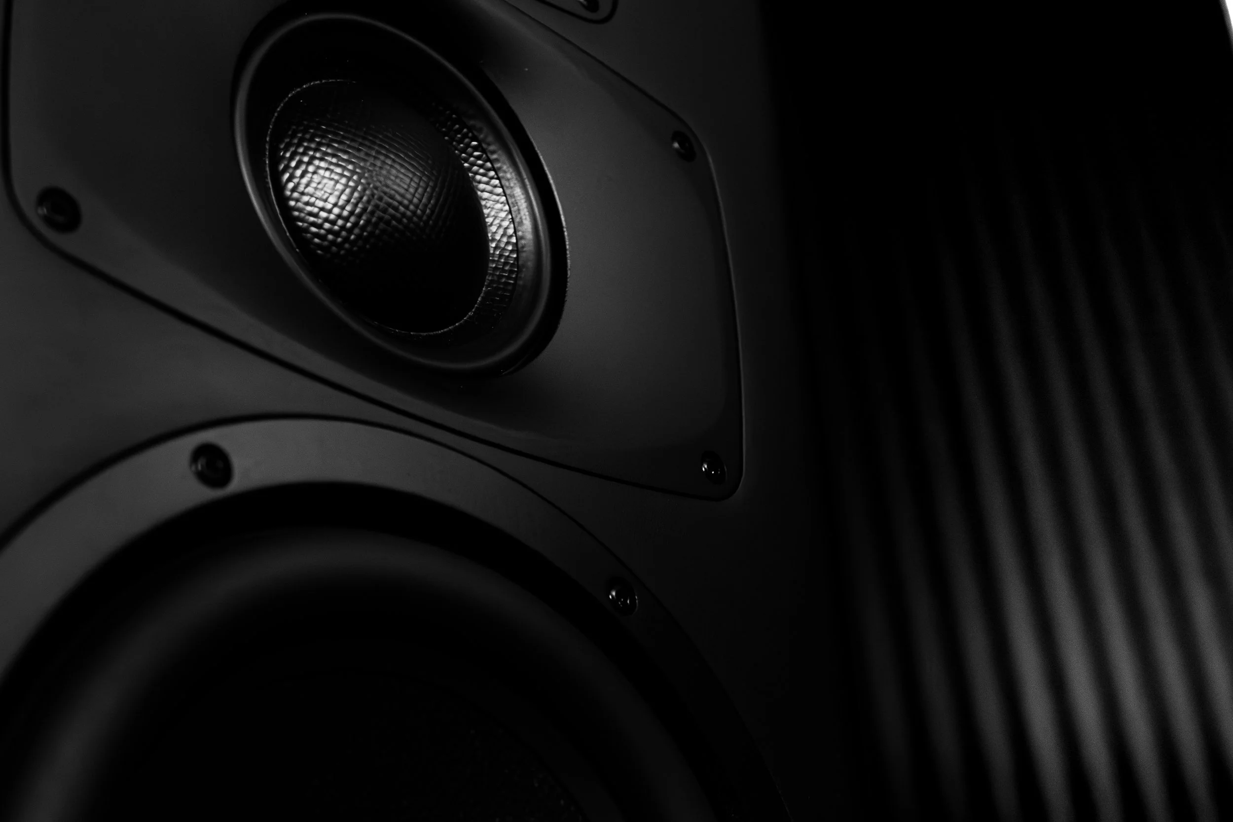 Speaker CU.jpg