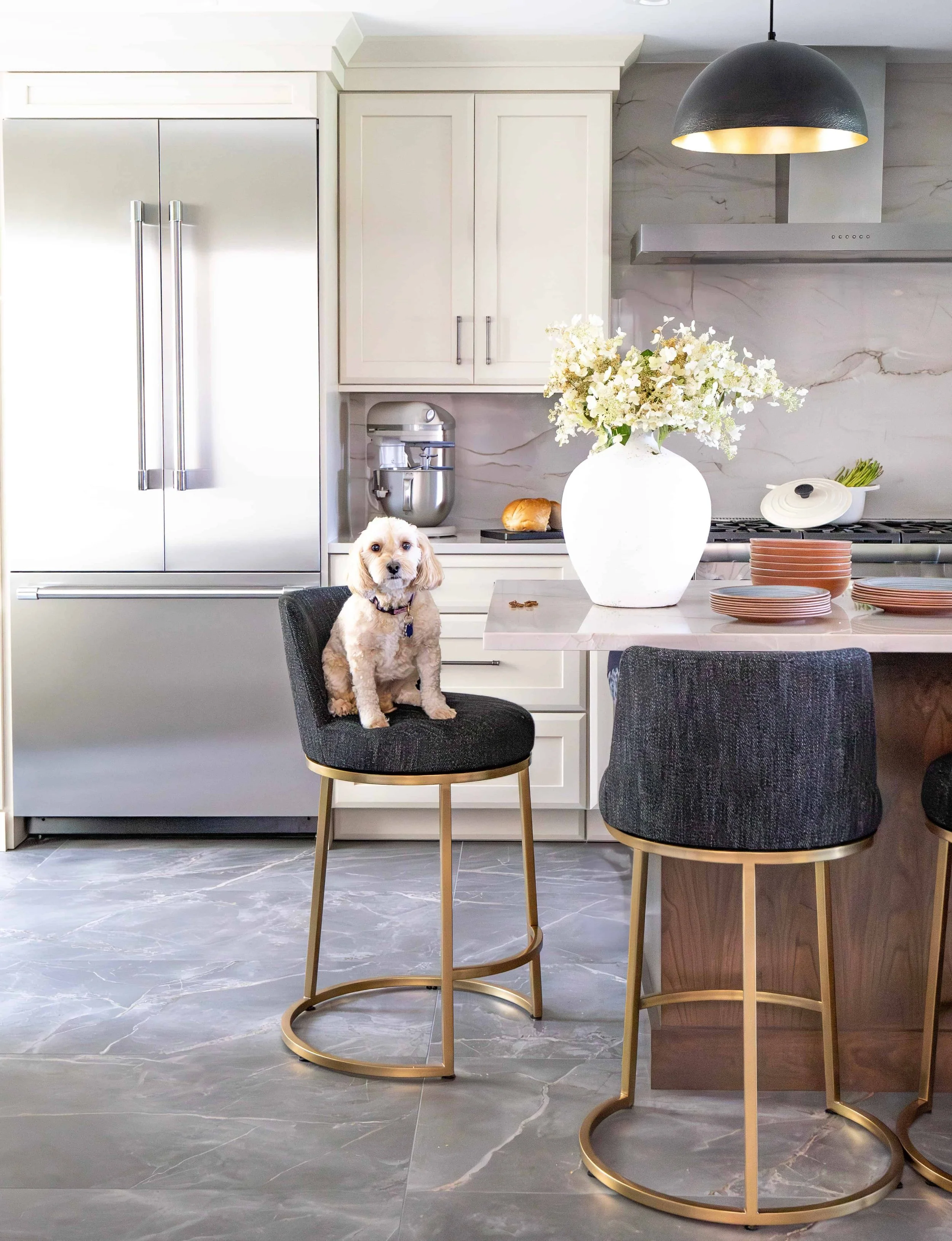 Small dog sitting on kitchen stool near refrigerator.