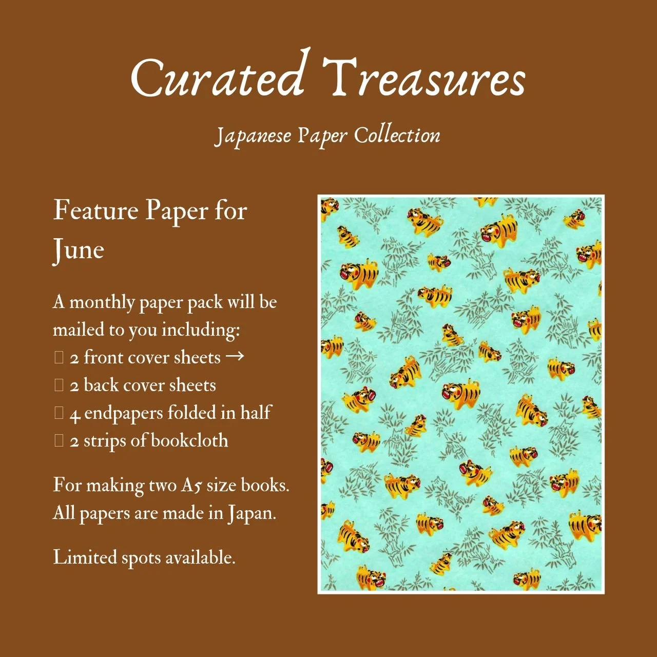 Curated Treasures Paper Pack