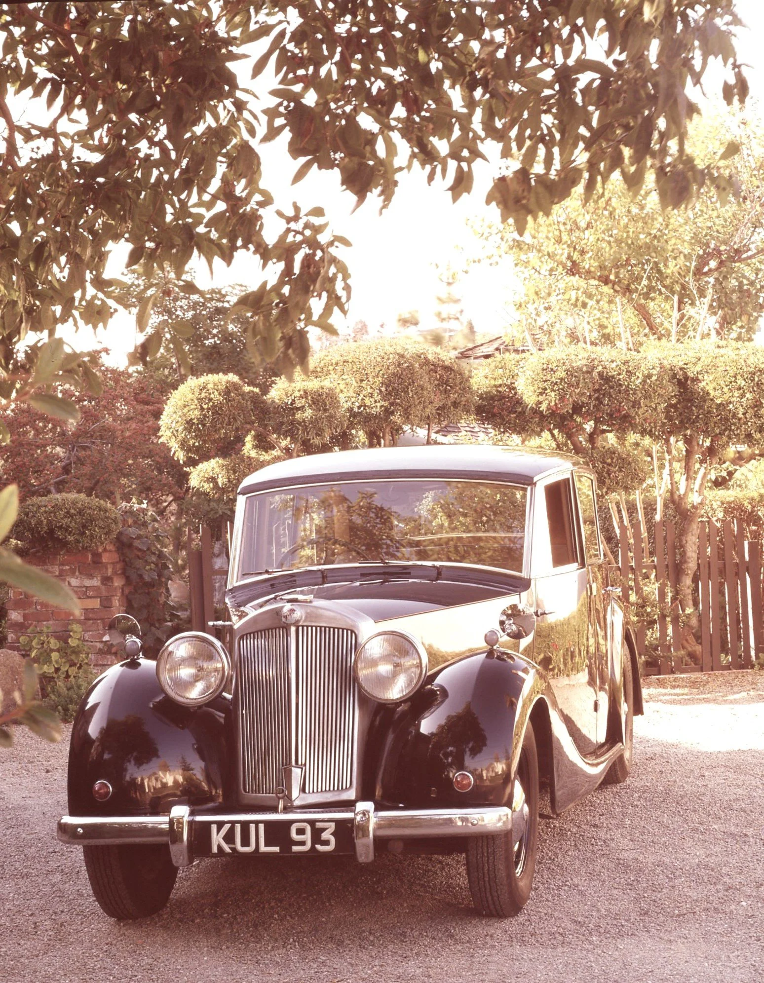 Triumph 1949 2000