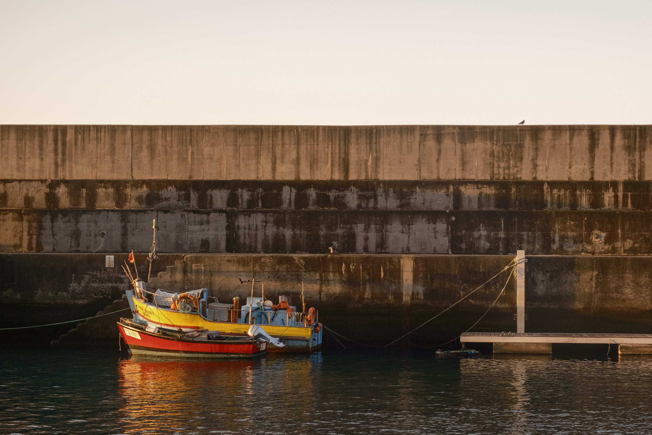 DSCF3972.jpg