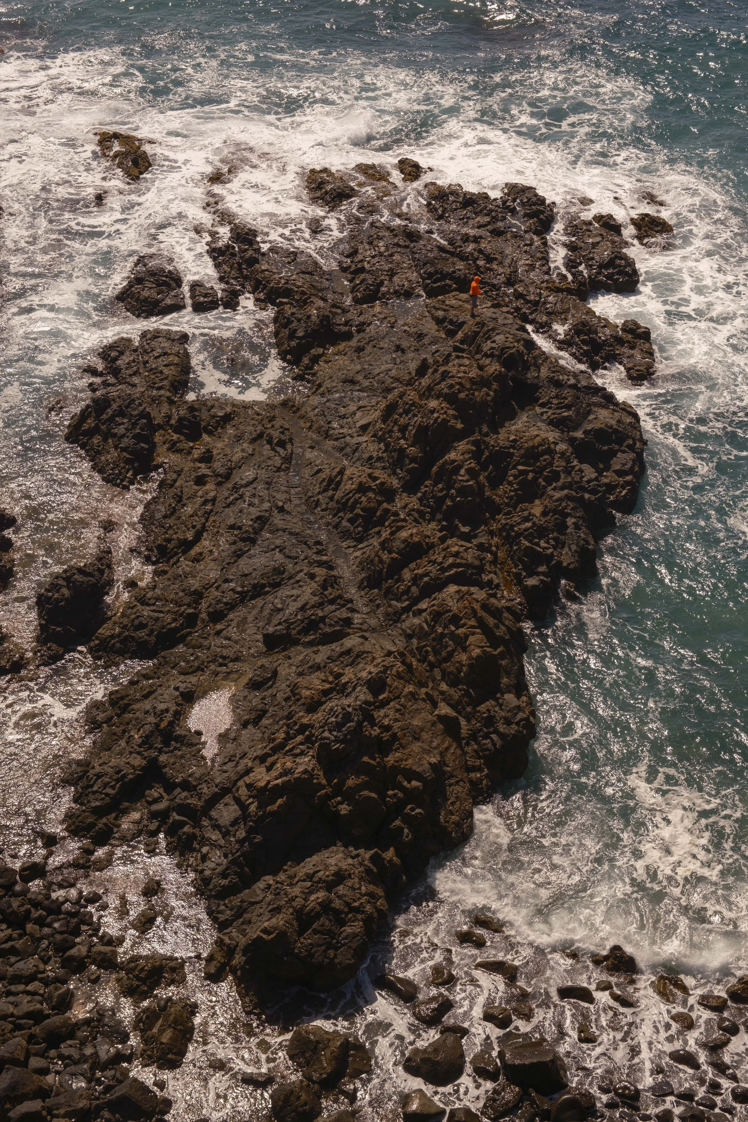 DSCF5508.jpg