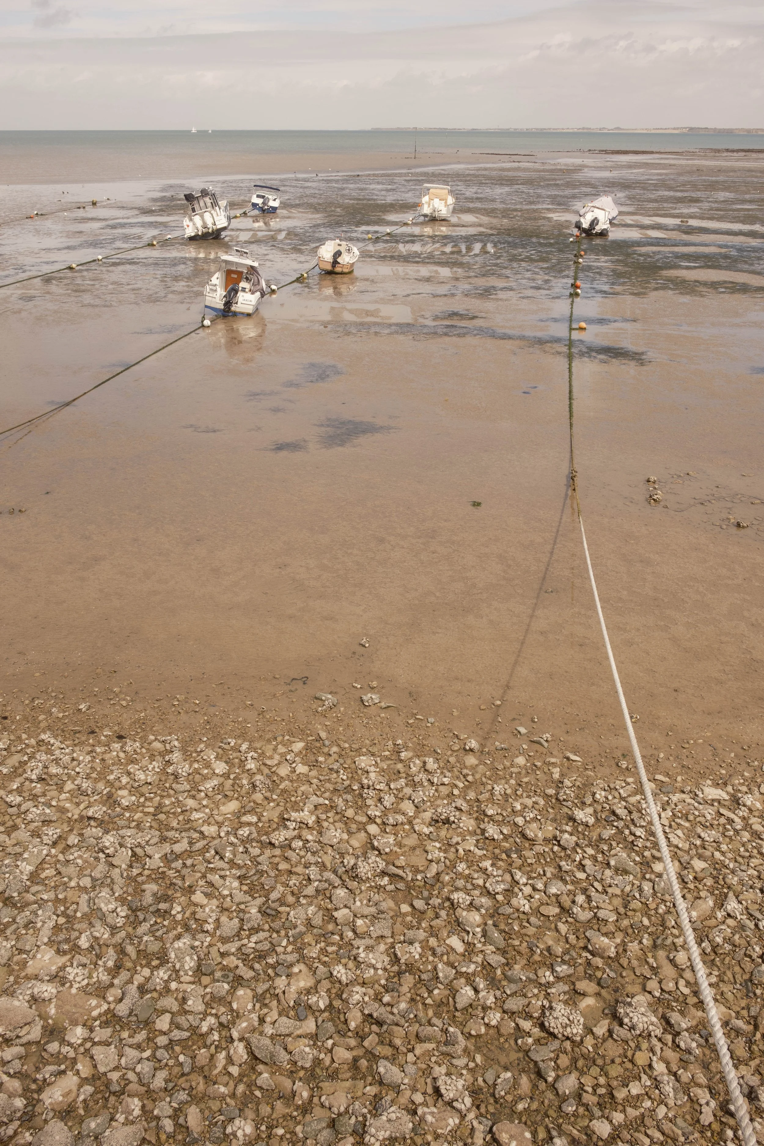 DSCF2238.jpg