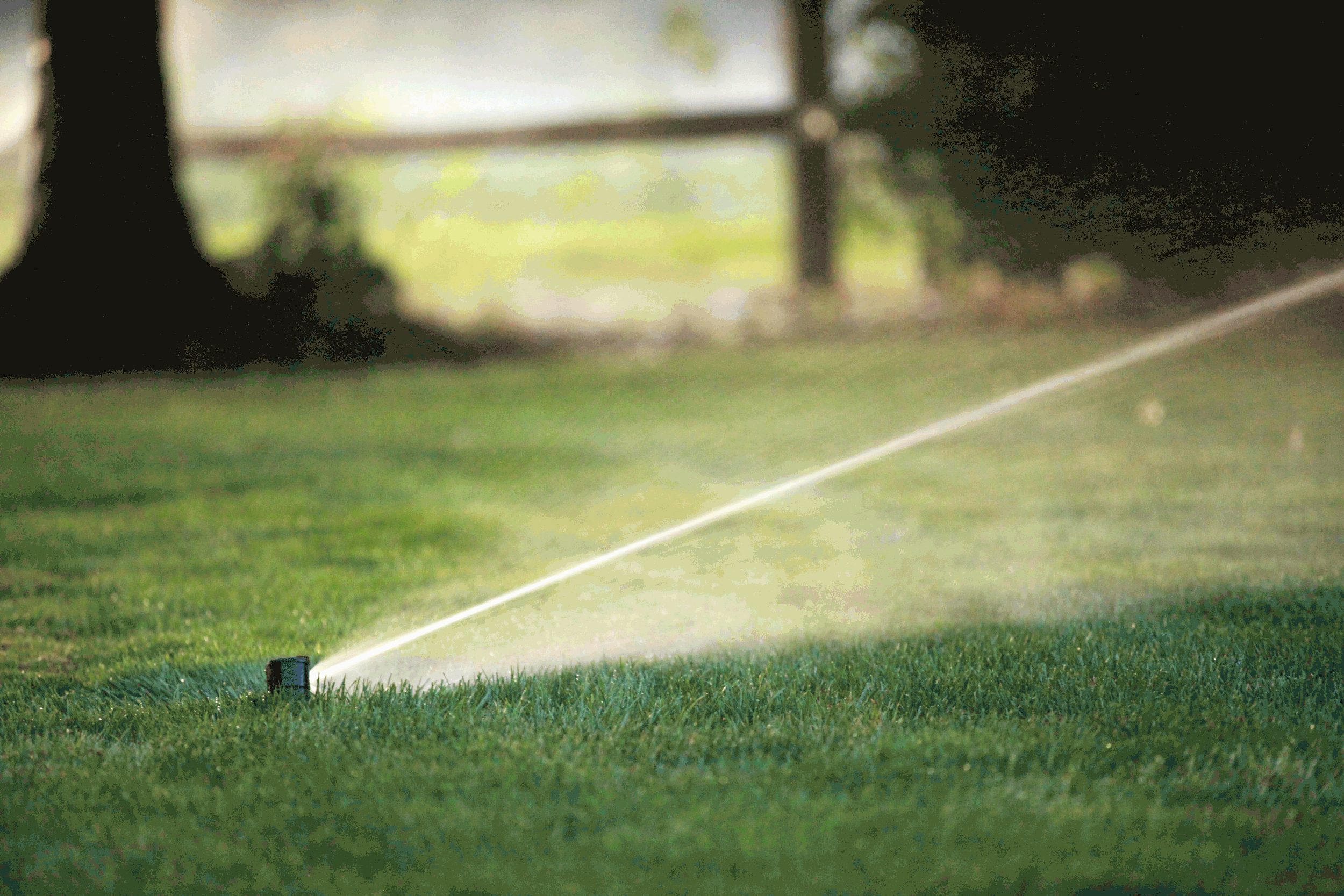 Sprinkler-Green-Seasons.gif