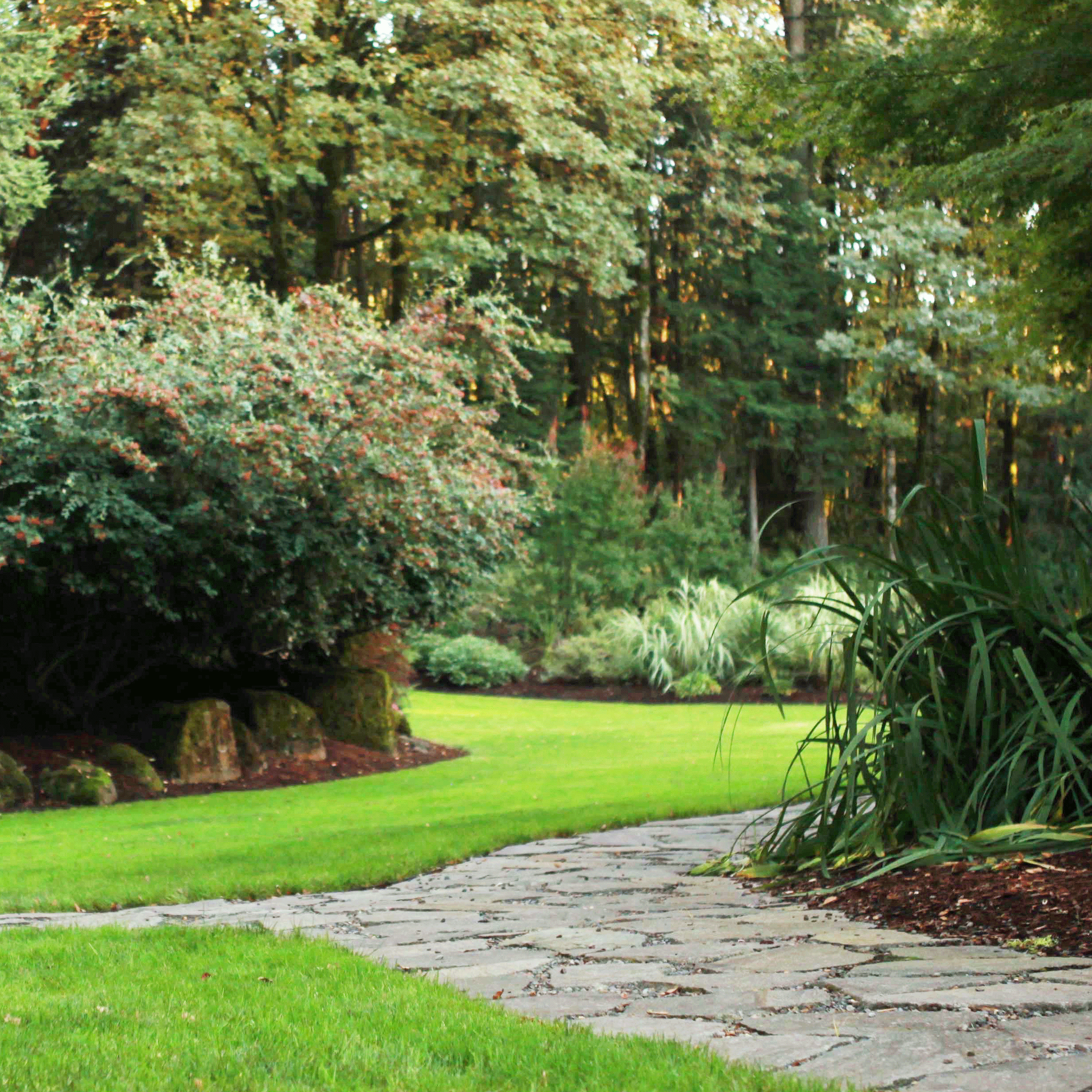 Pathway-Green-Seasons.gif
